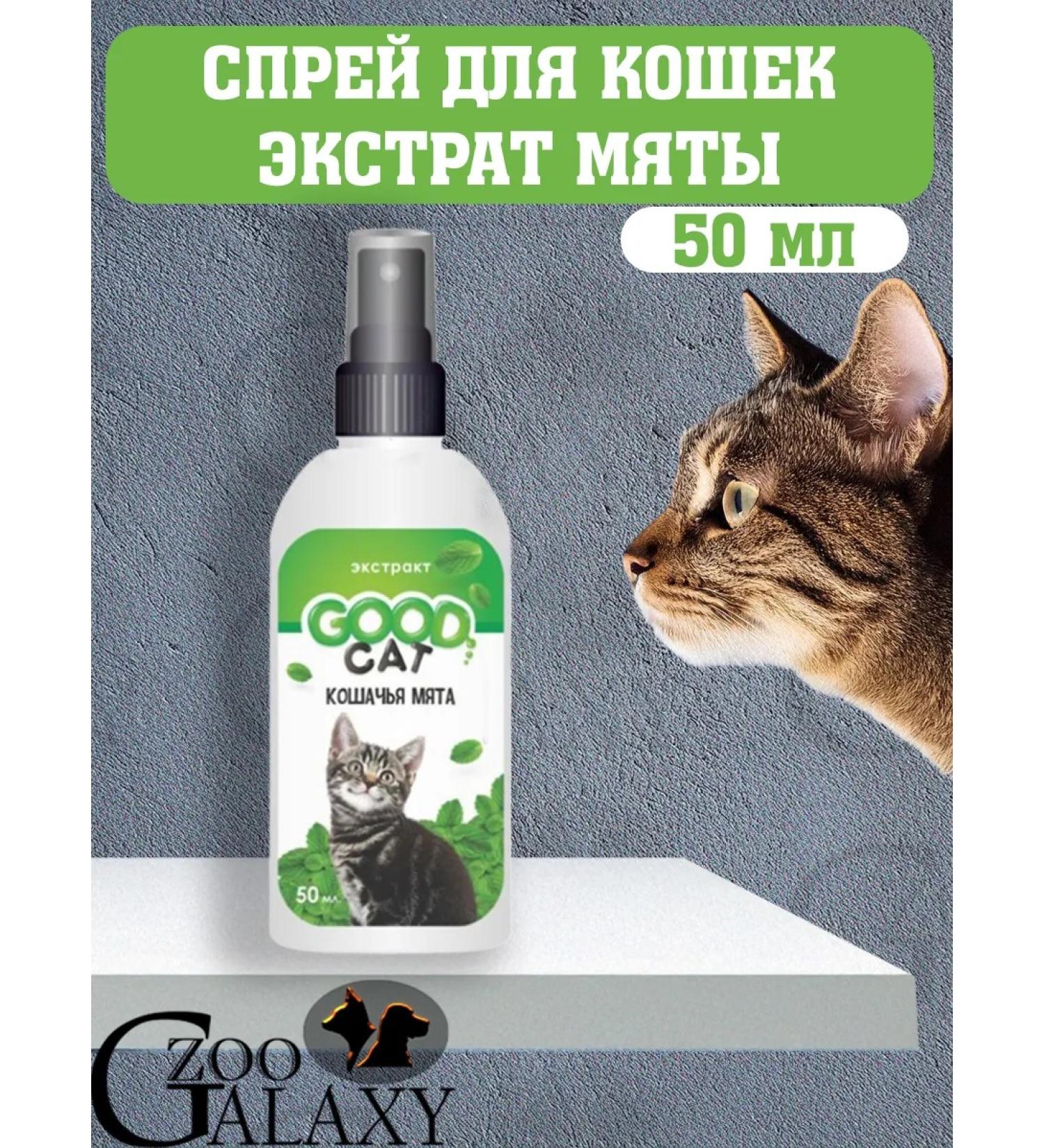 GOOD CAT Spray for cats of cat mint extract 50 ml