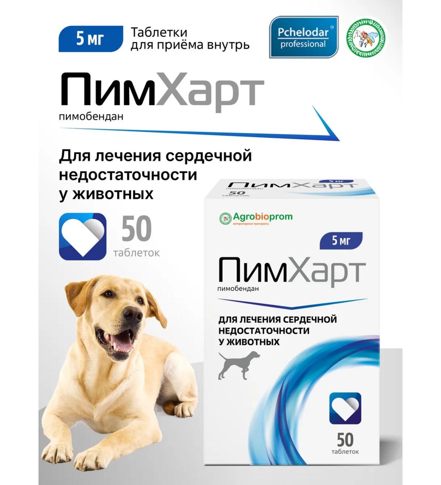 Beekeeper Pimhart treatment of heart failure in dogs from 20-40kg - Buy Online on GoSupps.com