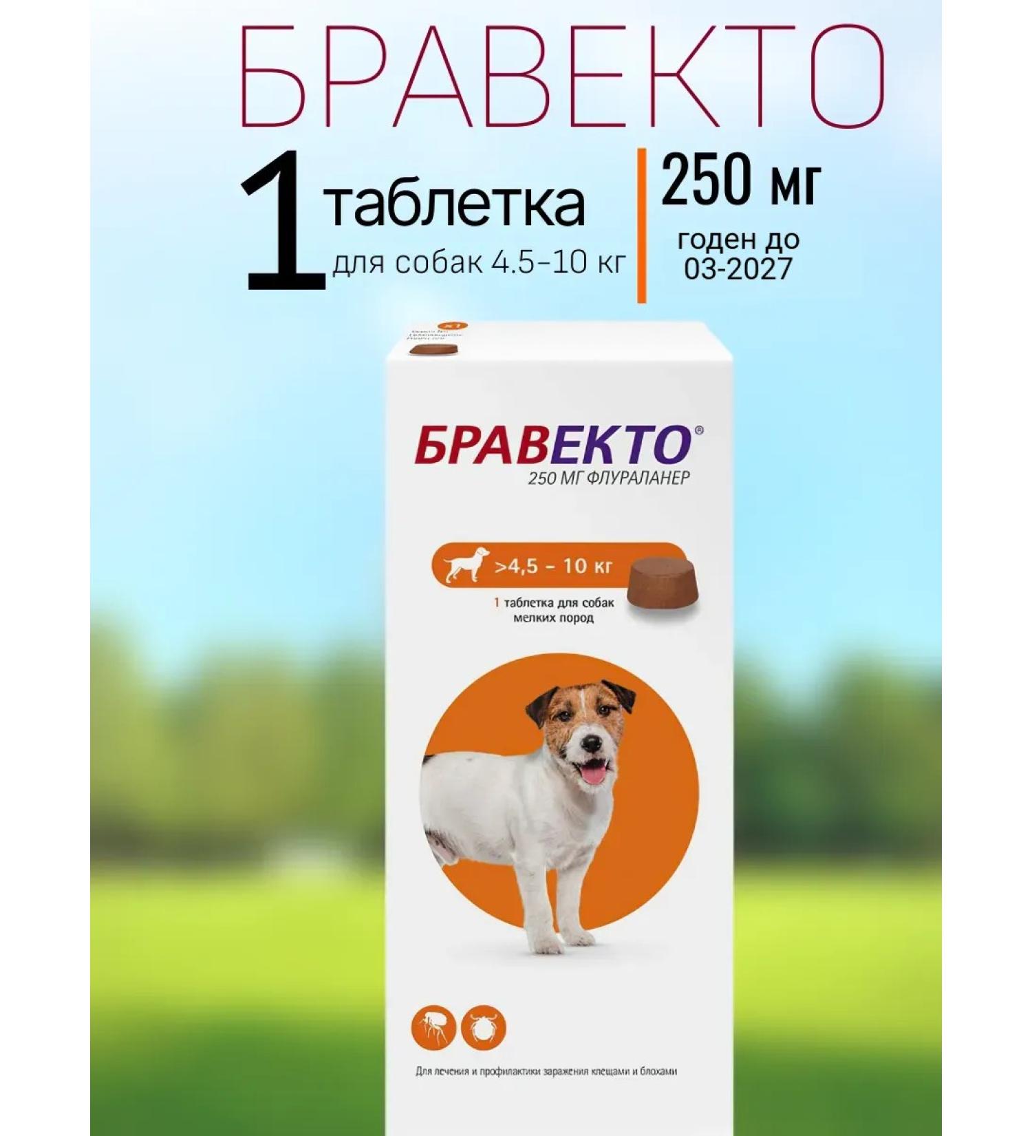 bravecto 1 tablet 250 mg for dogs 4.5-10 kg from ticks