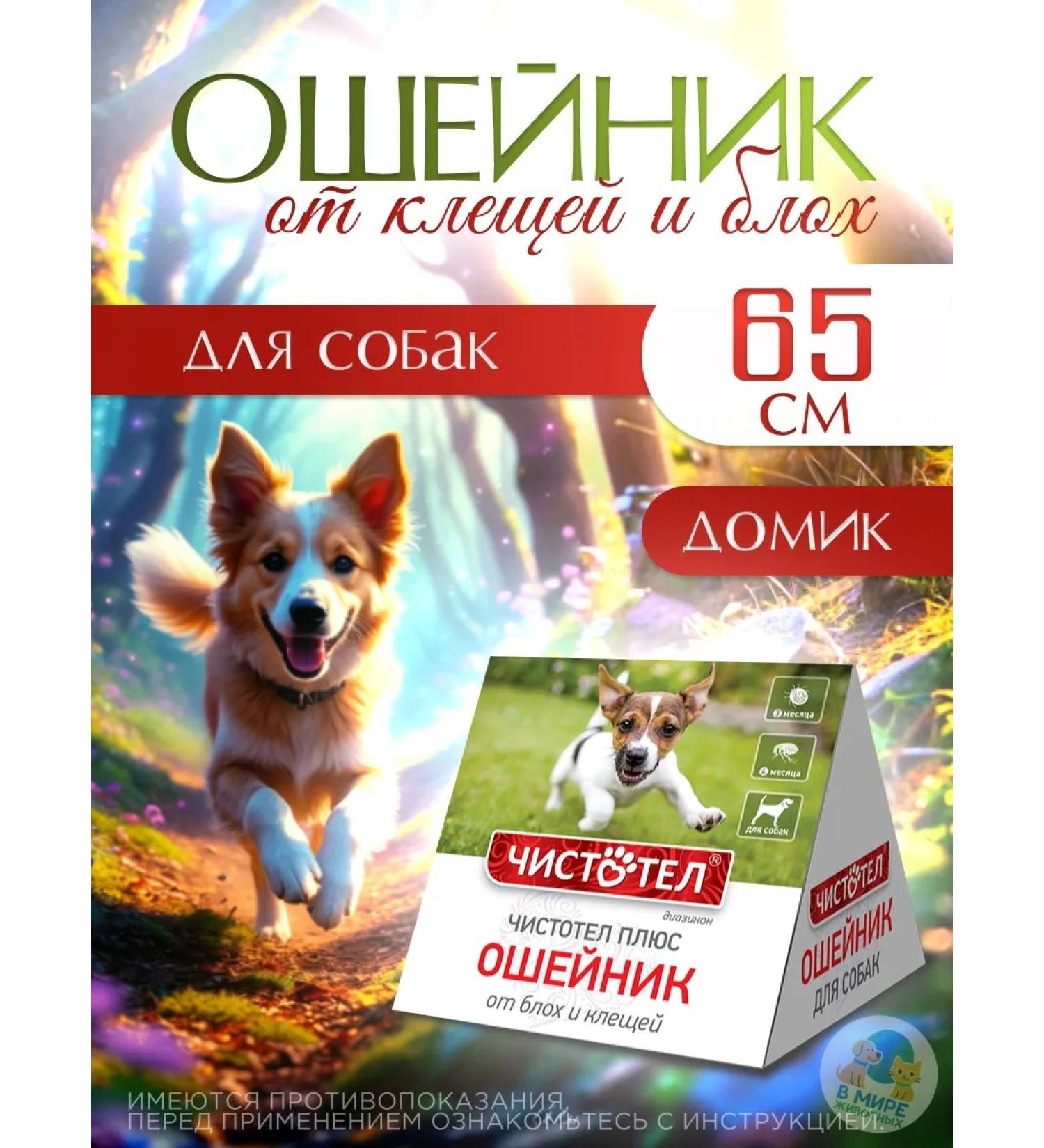 Neoterica Celandine plus a collar from fleas and ticks a house 65 cm - Buy Online on GoSupps.com