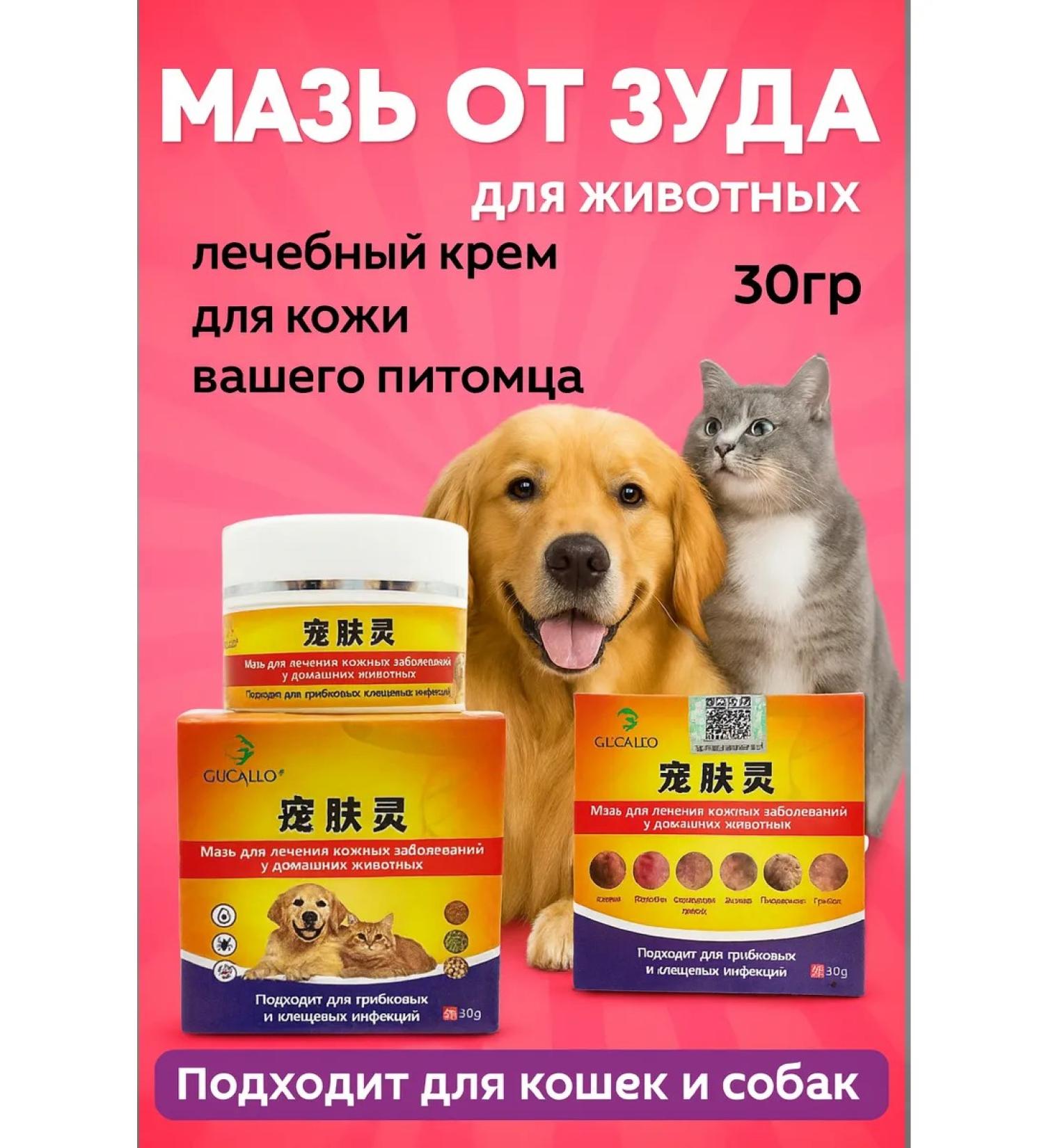 AYLINSHOP1 Itching ointment for dogs and cats is effective - Buy Online on GoSupps.com