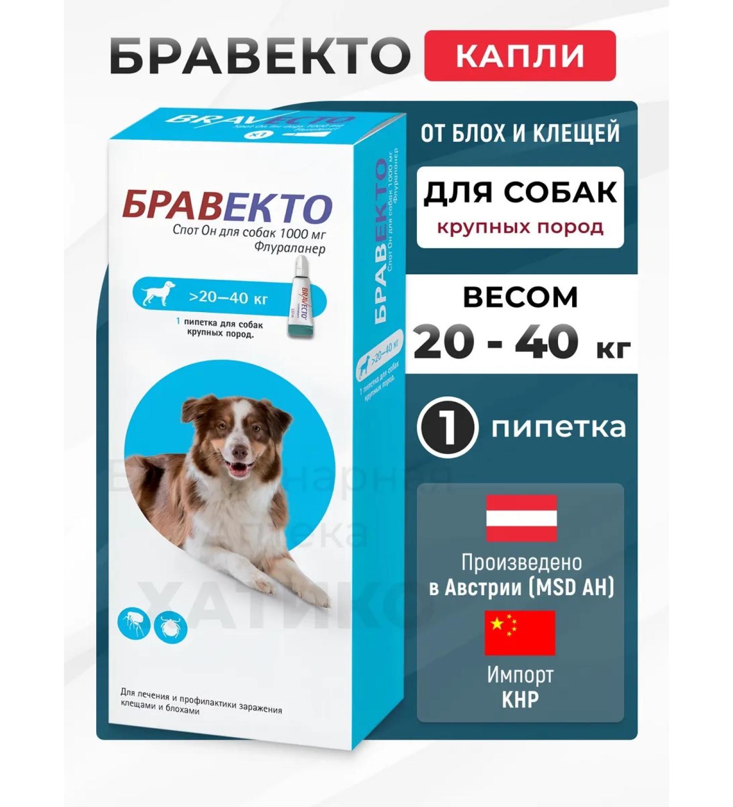 bravecto 1000mg 20-40 kg 1 pipette (02.2026) import