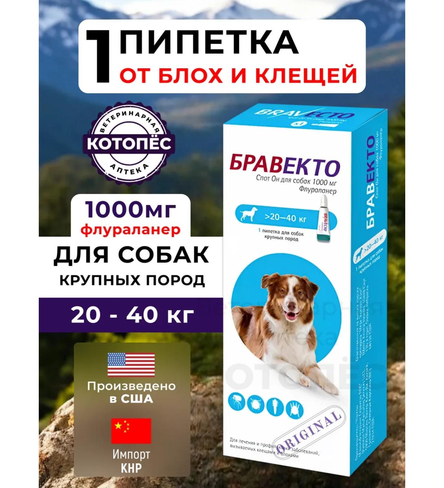 bravecto 1000 mg 20-40kg drops (term 02.2026) import