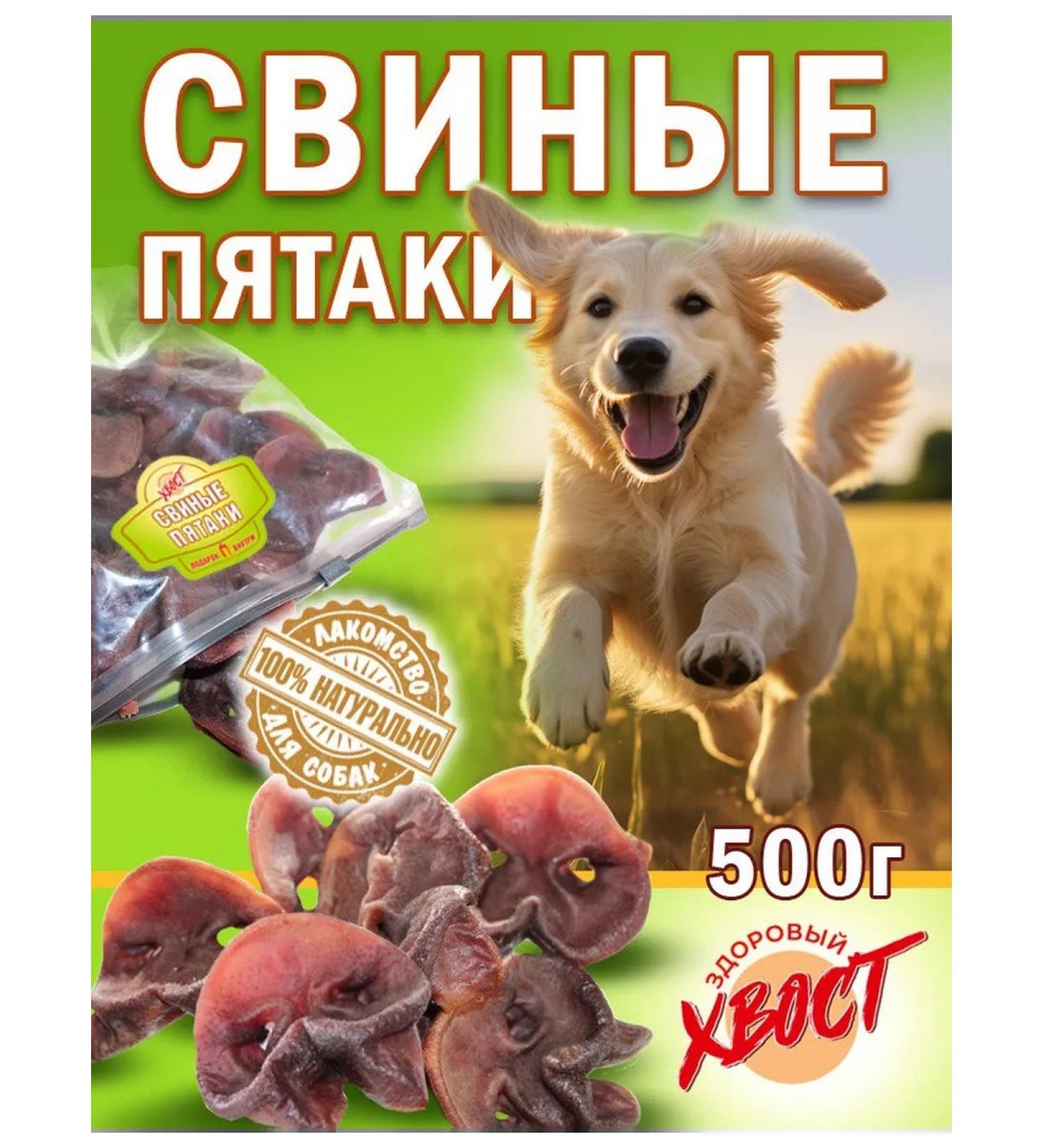 Healthy Tail Pork snouts 500g dog treat - Buy Online on GoSupps.com