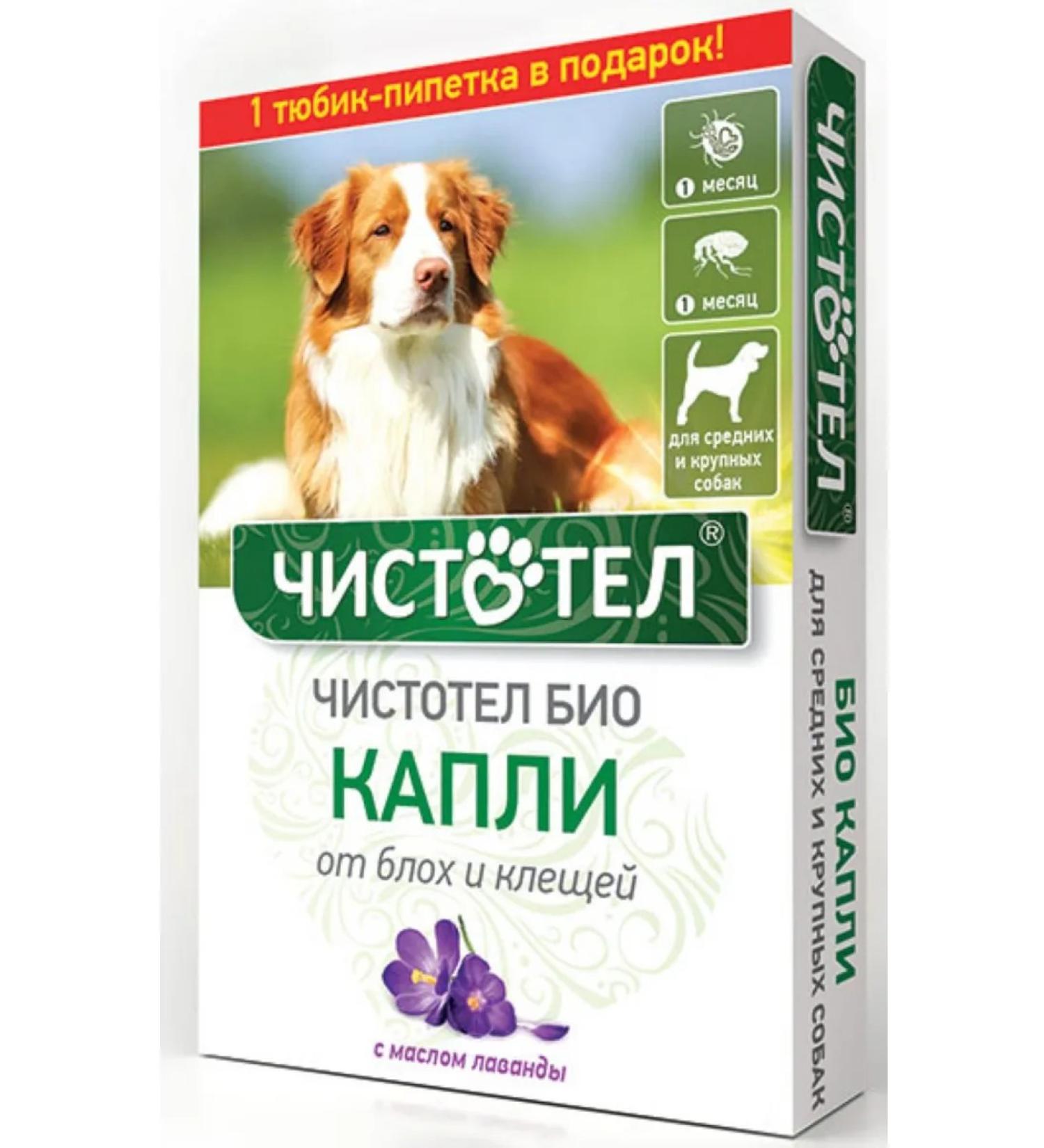 Celandine BIO Drops from fleas and ticks for large dogs - Buy Online on GoSupps.com