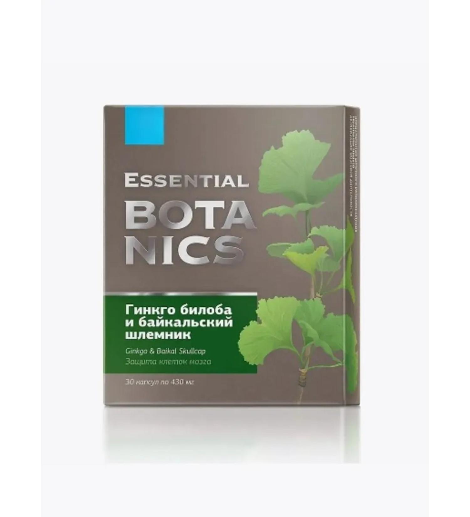 The Power of Siberian Health Ginkgo Biloba and the Baikal helmet - Essential Botanics