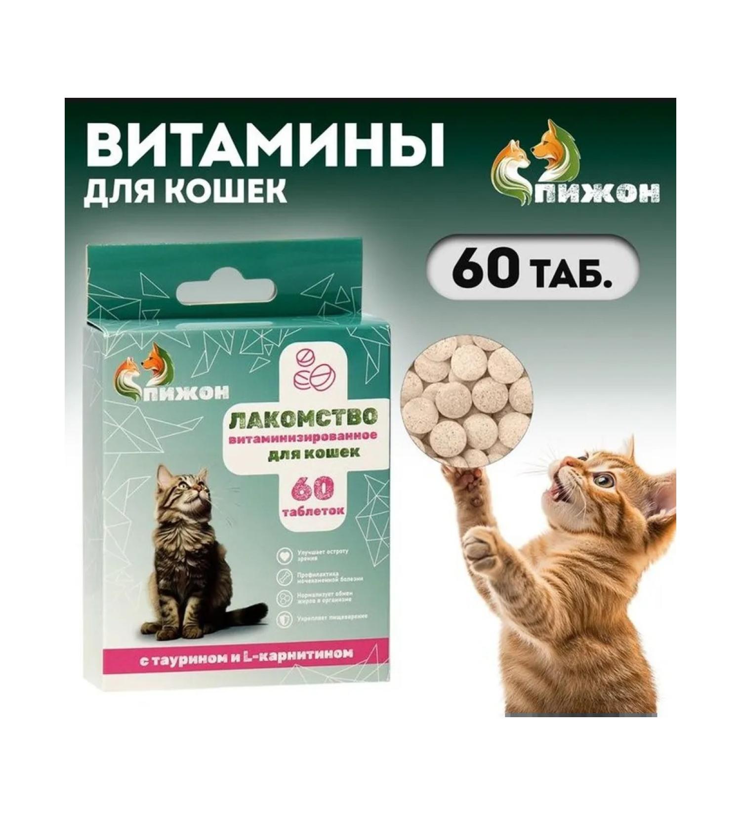 Dude Cat treats with taurine and L-carnitine 2 pcs - Buy Online on GoSupps.com