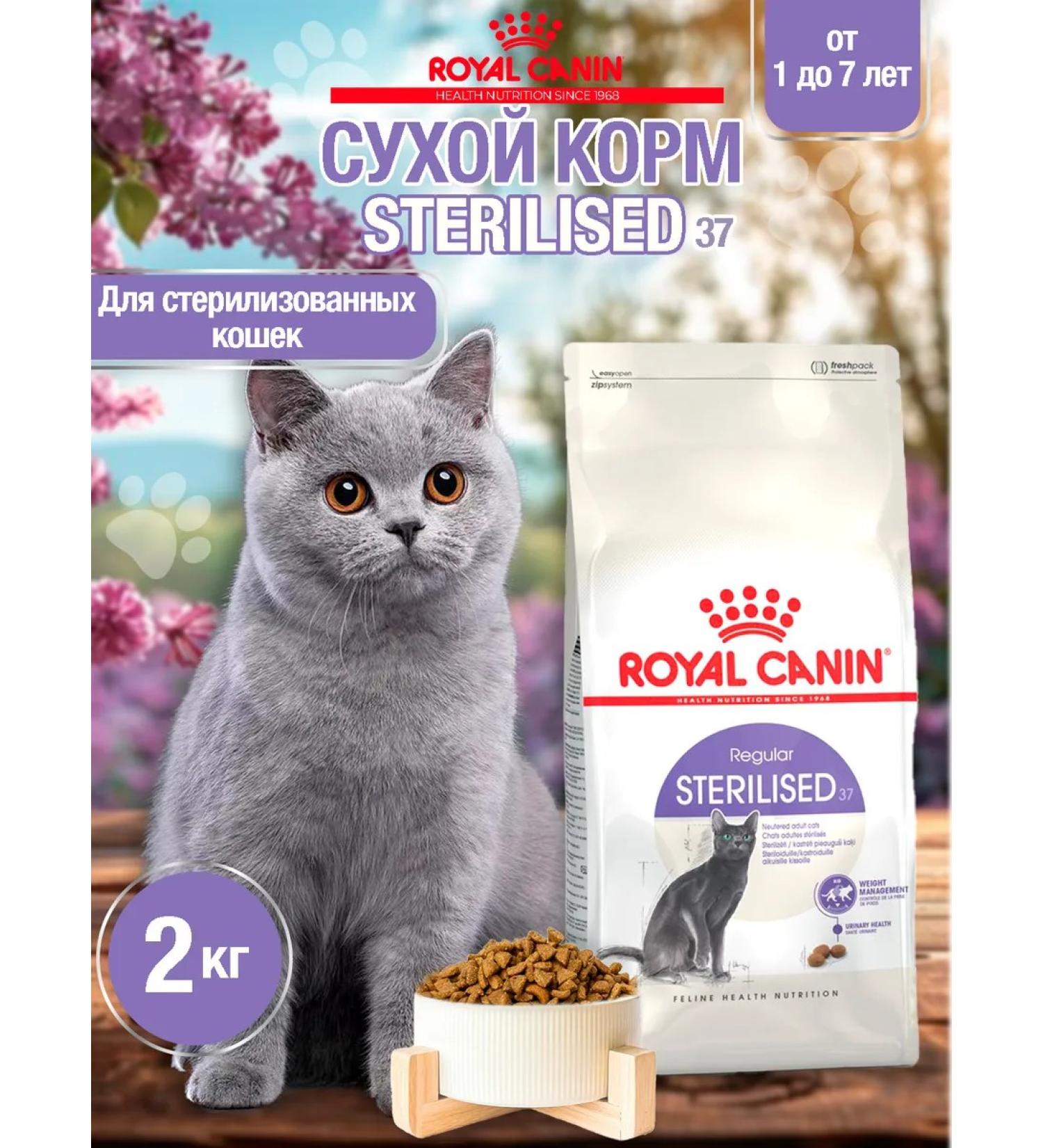 ROYAL CANIN Dry food for cats Sterilized 37 (sterilizhez 37) 2kg - Buy Online on GoSupps.com