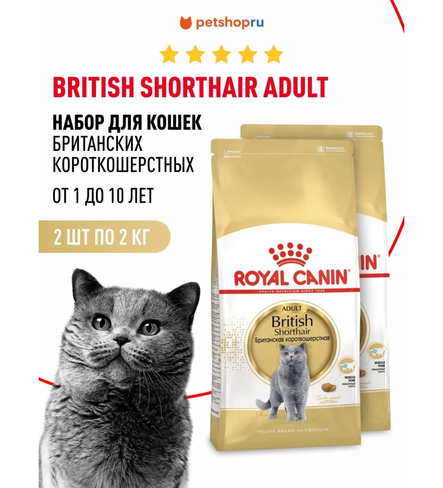 ROYAL CANIN Feed for British short -haired cats set 2+2 kg - Buy Online on GoSupps.com