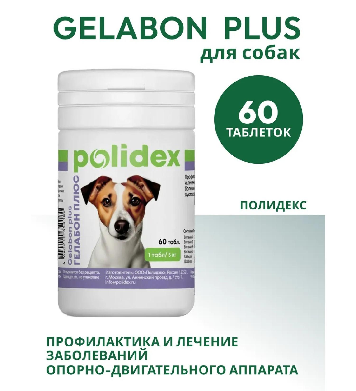 polidex 60  - Buy Online on GoSupps.com