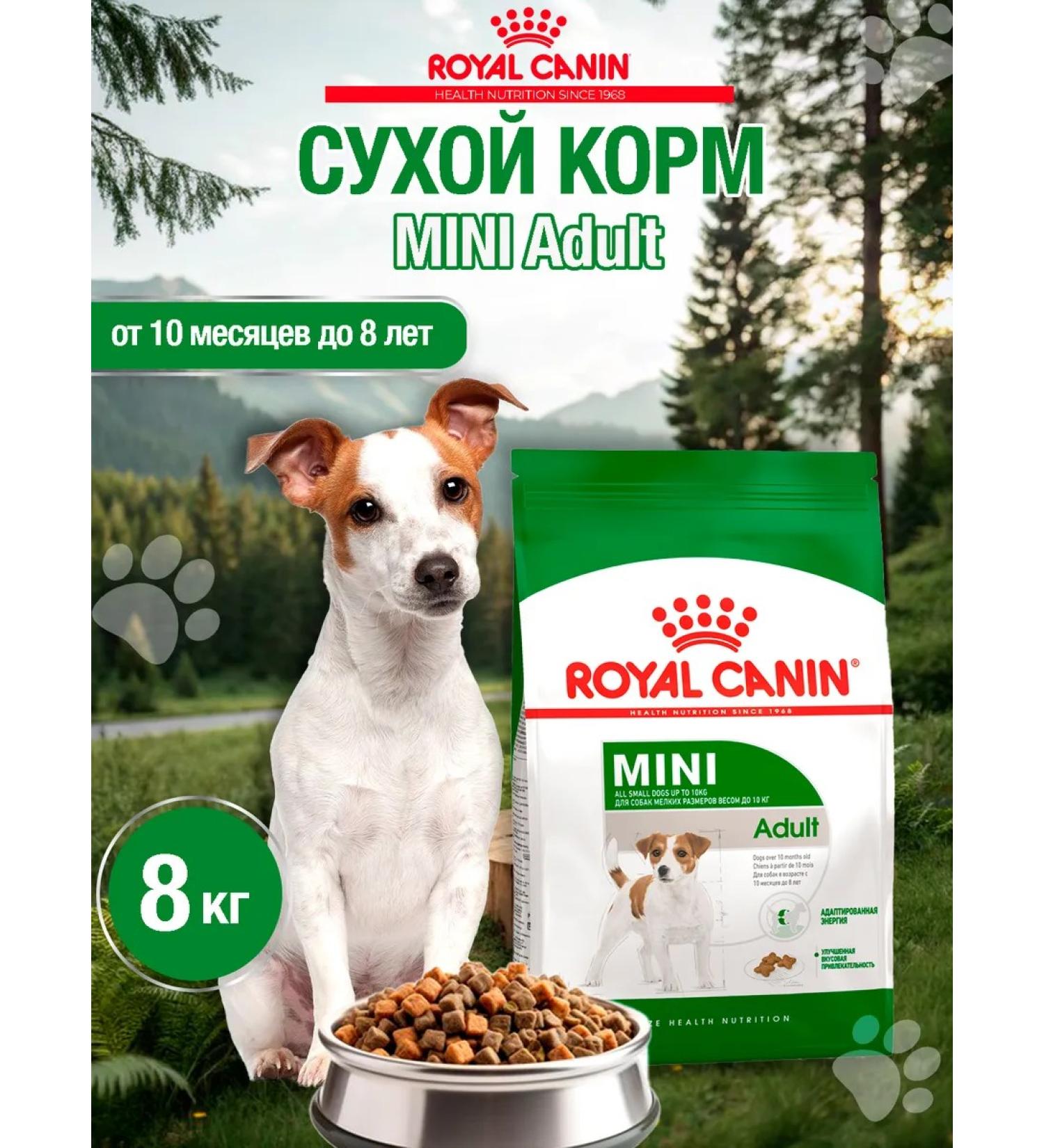 ROYAL CANIN Dry food mini adult for dogs of small breeds 8 kg - Buy Online on GoSupps.com