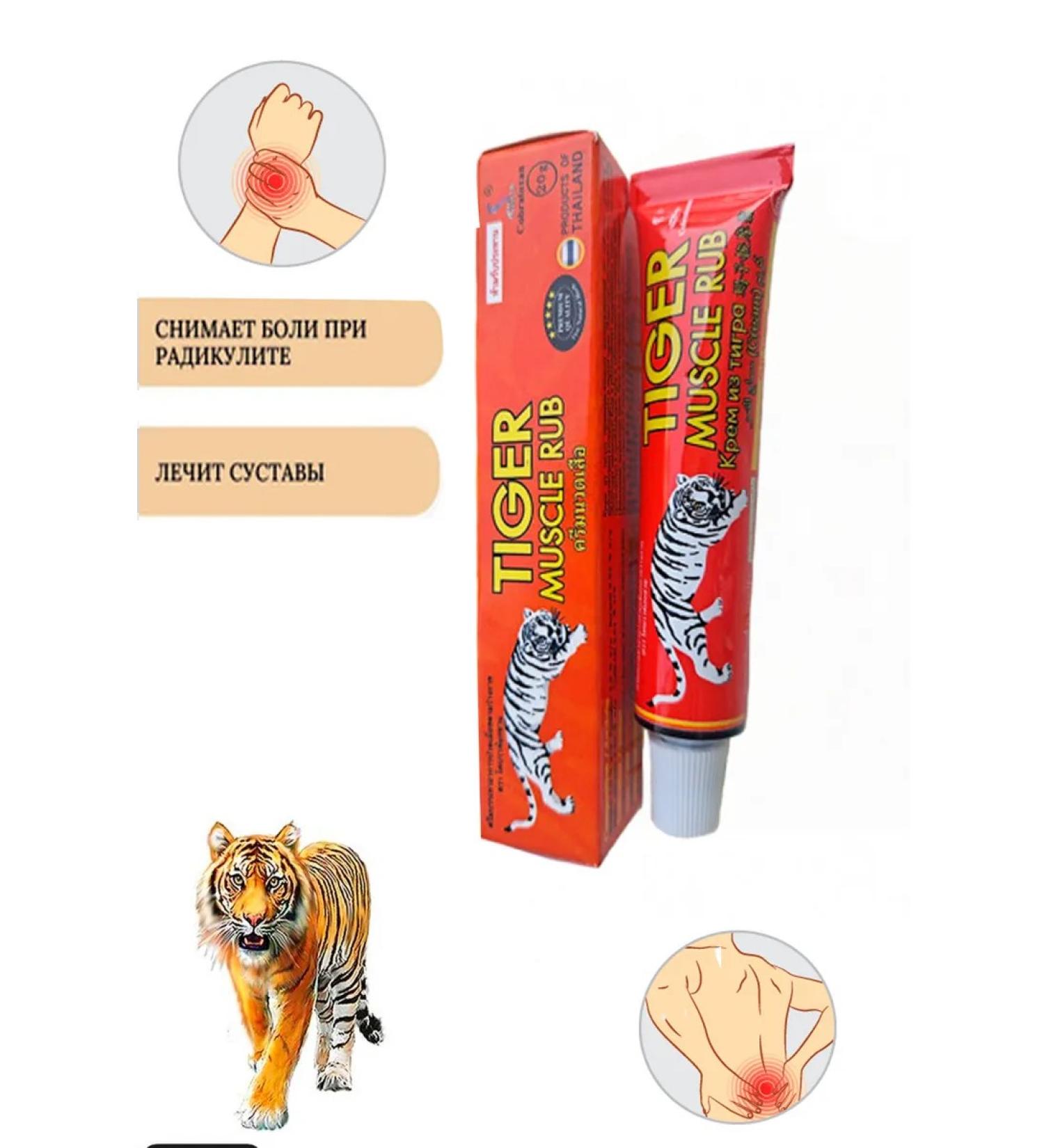 Anesthetic cream for joints and muscles Tiger Muscle - Buy Online on GoSupps.com