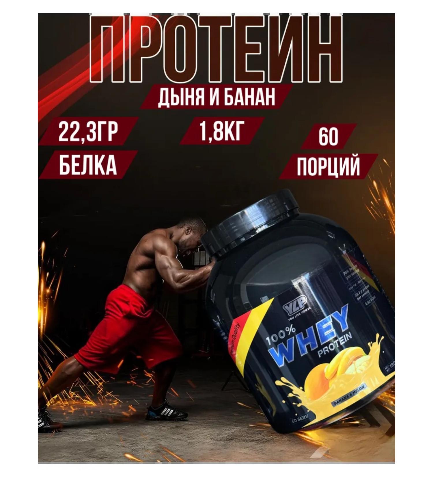YLP 100% WHEY PROTEIN Protein 100% Whey Protein - Buy Online on GoSupps.com