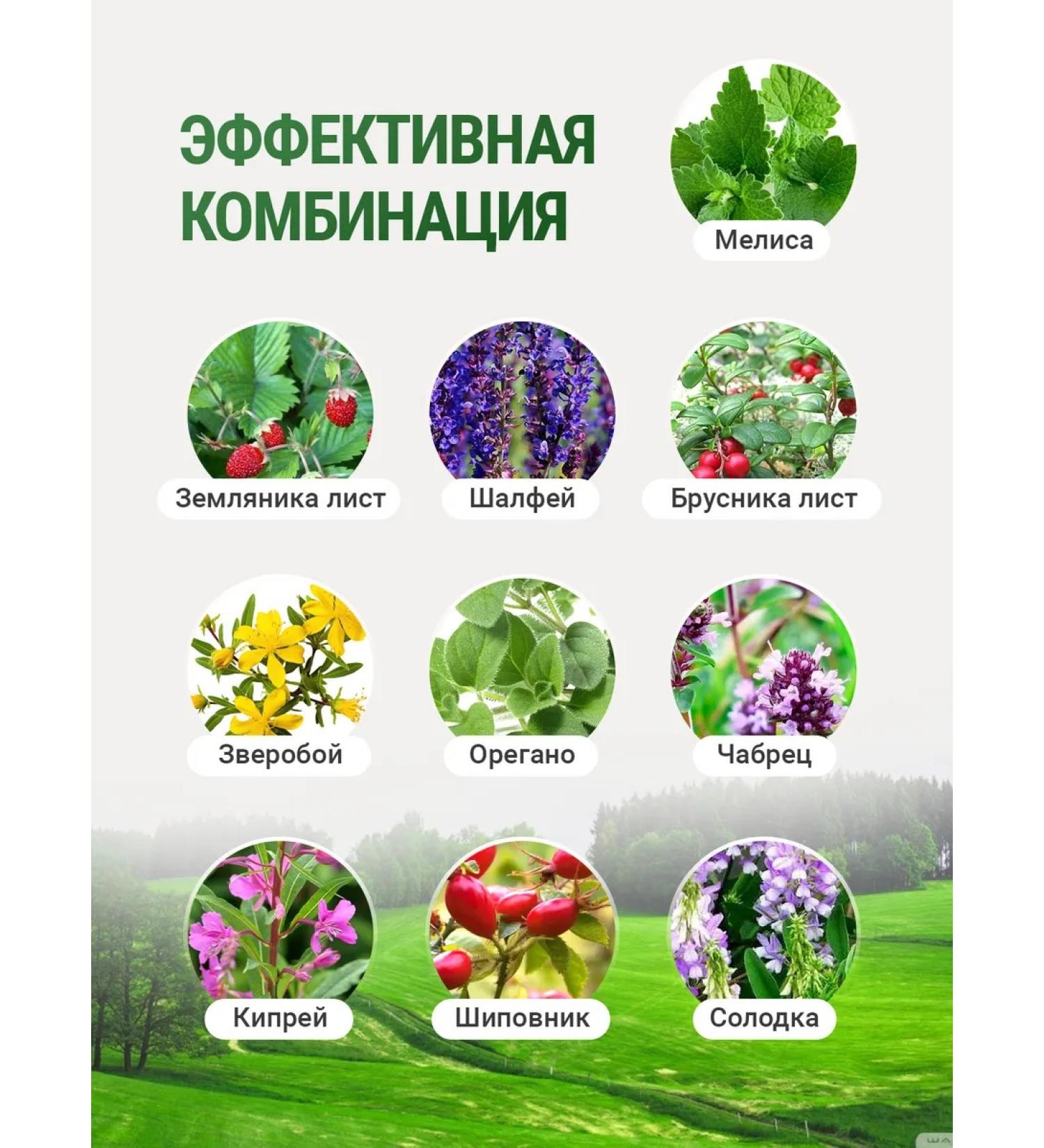 Spicy Paradise Tea from edema - lymphatic drainage. For weight loss and detox