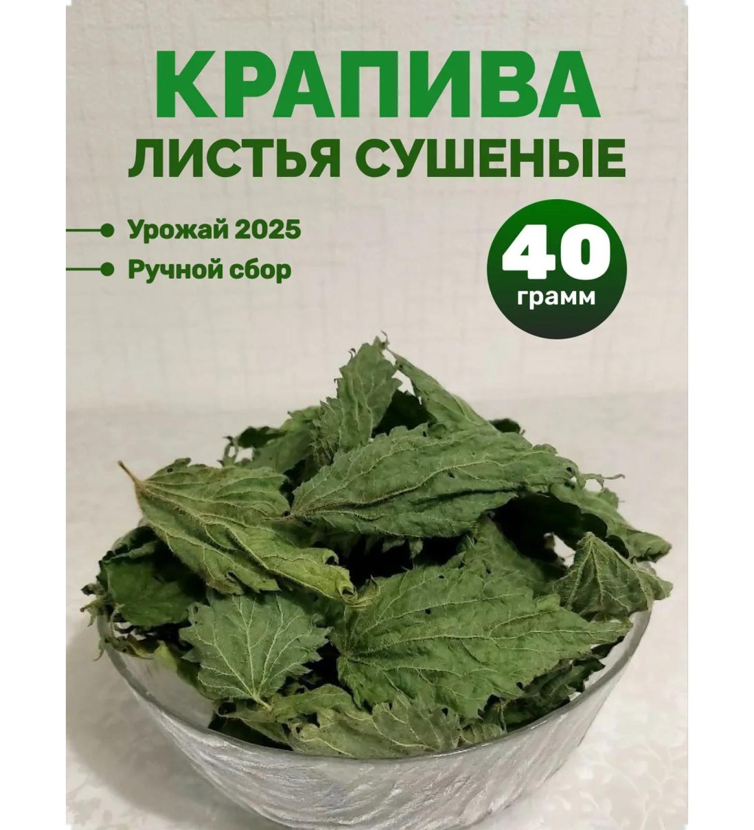 Dried nettle herb
