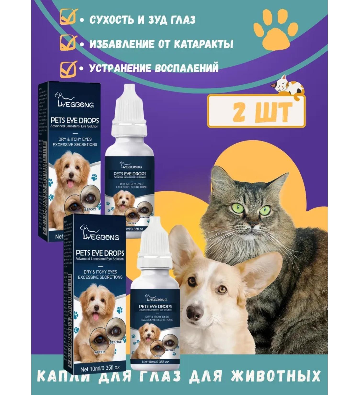 Eye drops for cats and dogs Cataract prevention 10 ml - Buy Online on GoSupps.com