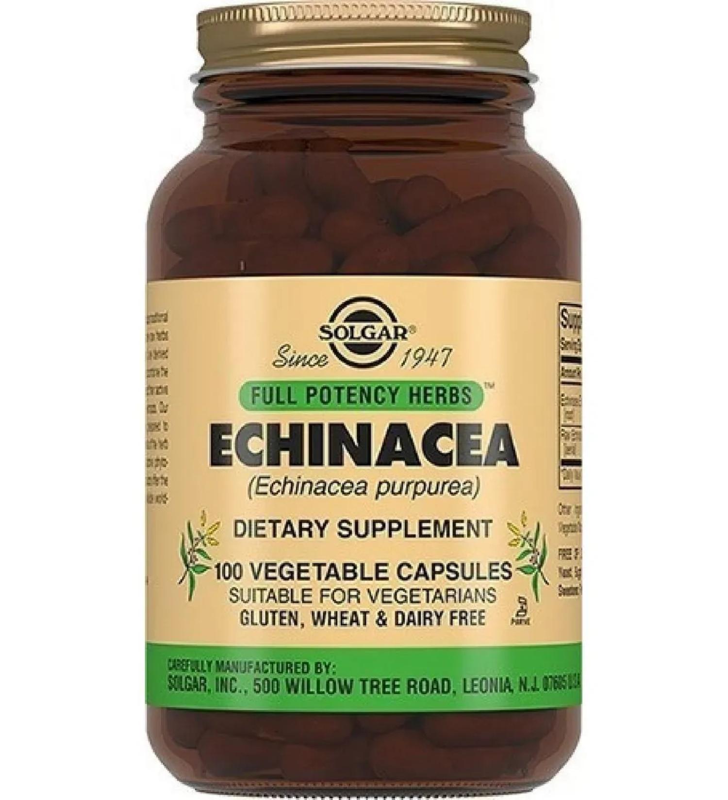 Solgar Echinacea Echinacea Purple 100 pcs. Capsules-1p - Buy Online on GoSupps.com