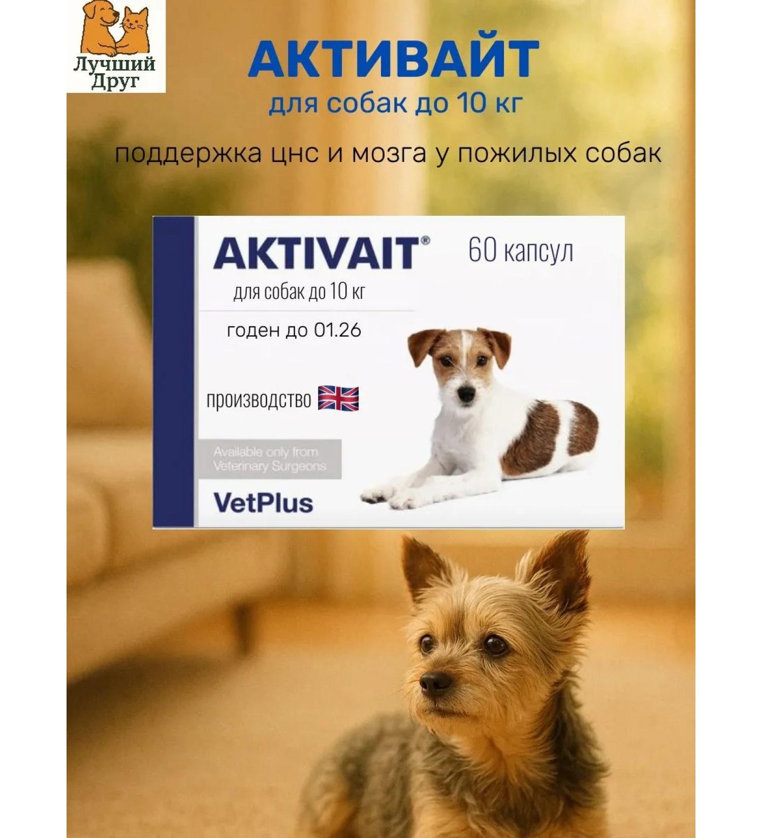 Zoetis Aktivait for dogs for cognitive functions 60 capsules