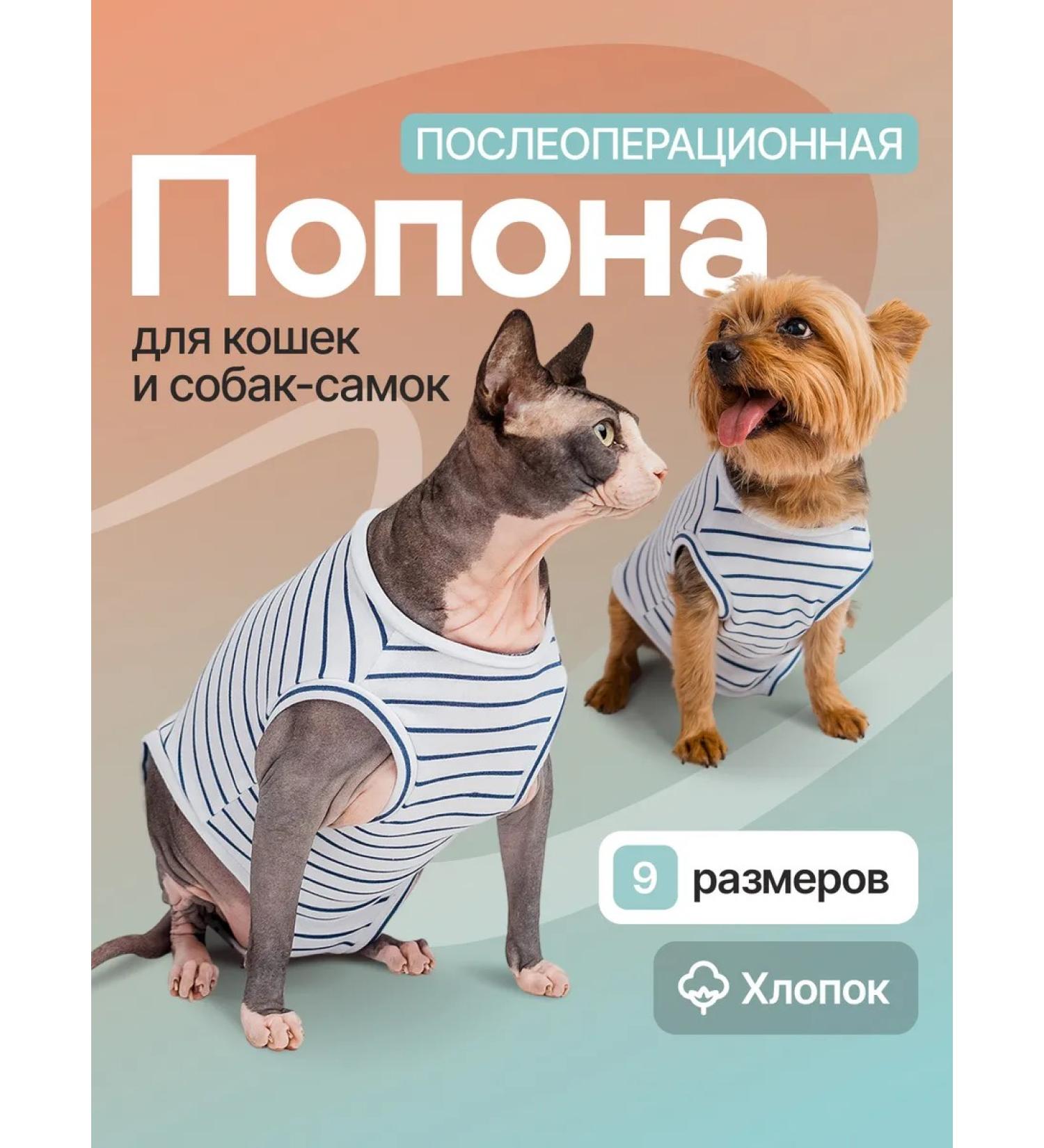 ZooTwoNati Popon postoperative for cats and dogs of small breeds - Buy Online on GoSupps.com