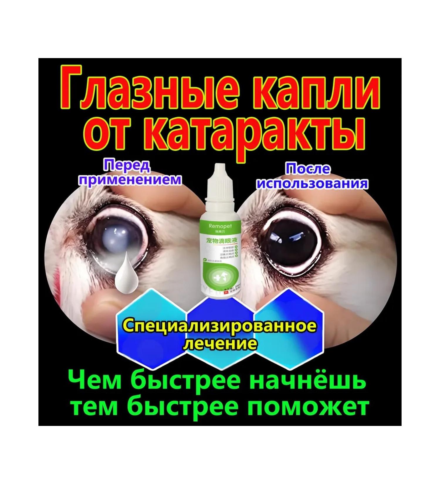 Drops from cataract for dogs cat60ml - Buy Online on GoSupps.com