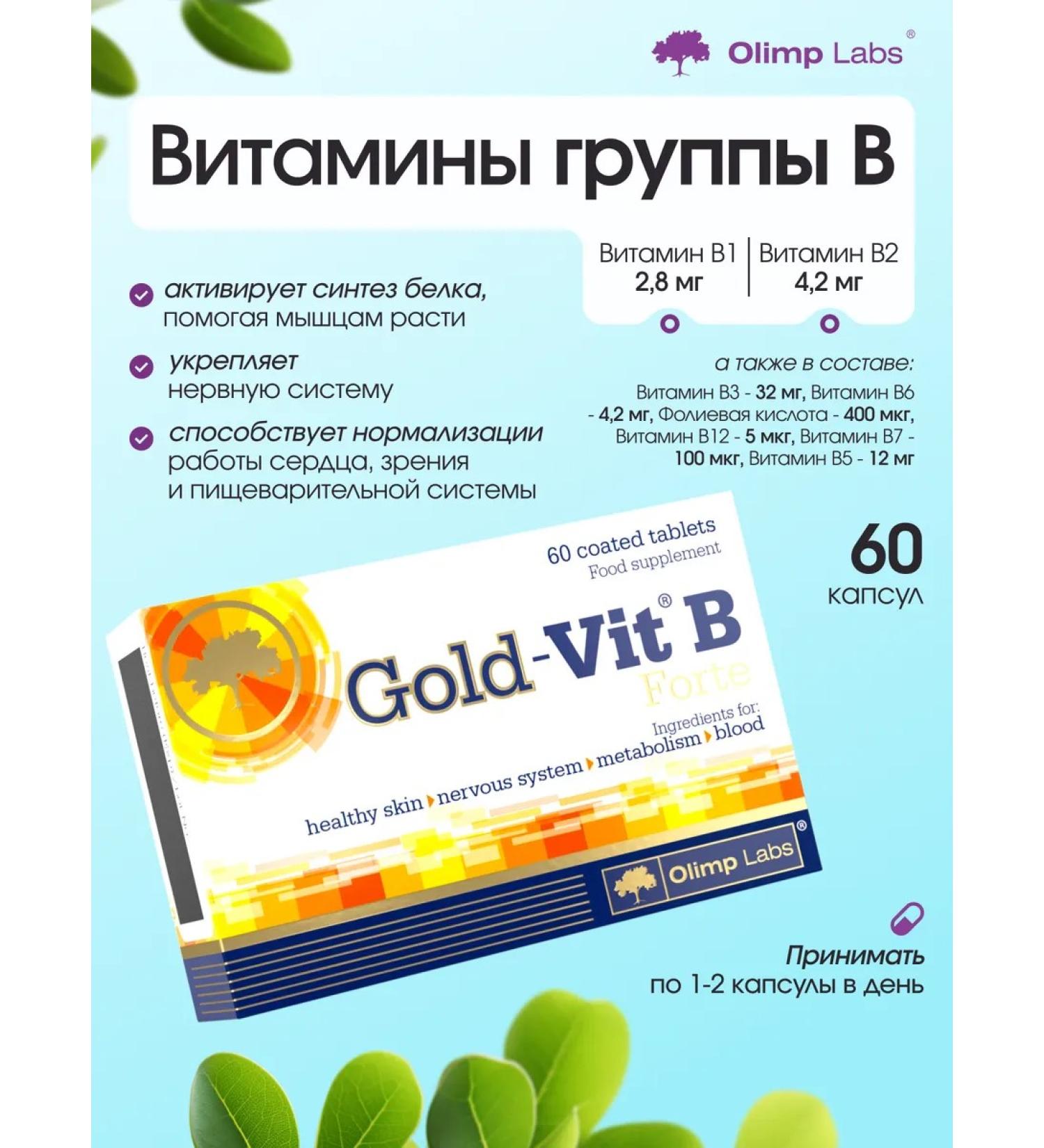 Olimp Sport Nutrition Best B vitamins for Gold-Vit B Forte brain and energy - Buy Online on GoSupps.com
