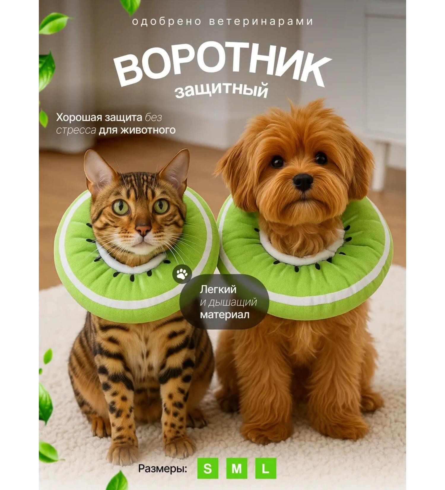 KimCa Protective collar for cats and dogs veterinary - Buy Online on GoSupps.com