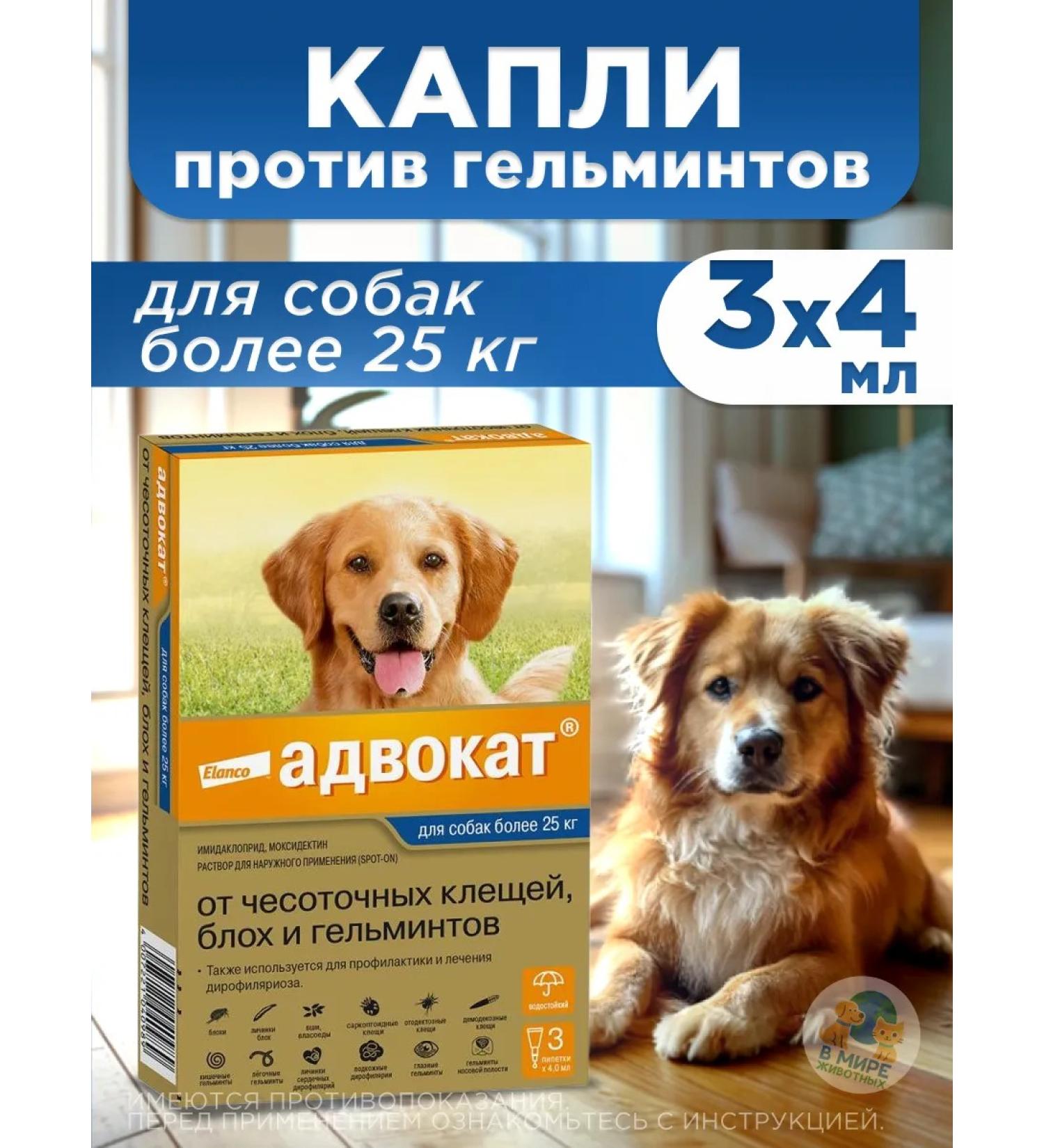 Elanco Drops of dog lawyer more than 25 kg - Buy Online on GoSupps.com