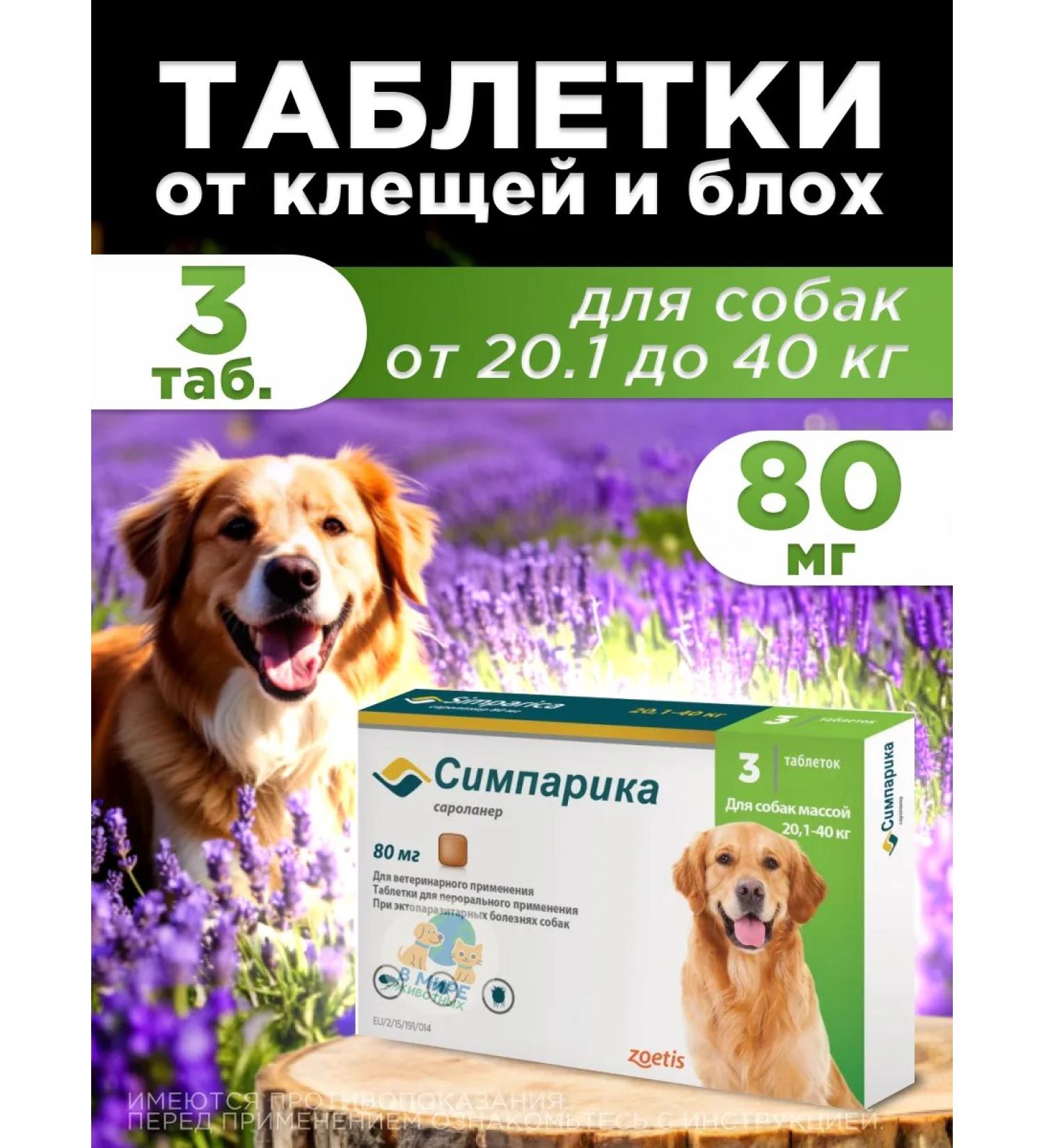 Zoetis Simrapik tablets for dogs from 20.1 to 40 kg - Buy Online on GoSupps.com