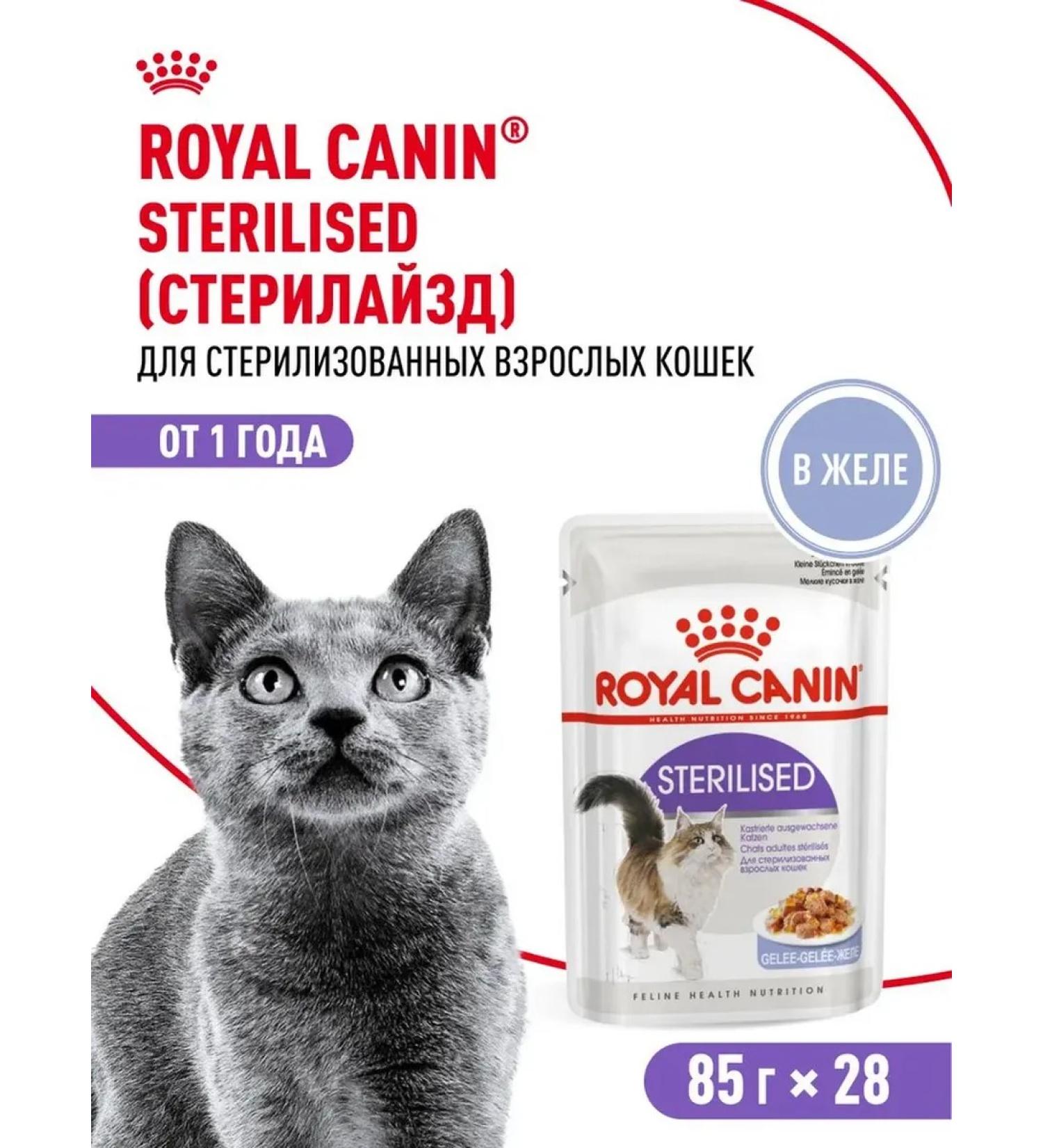 ROYAL CANIN Wet food for cats sterilized (jelly) 85 g x 28 pcs - Buy Online on GoSupps.com