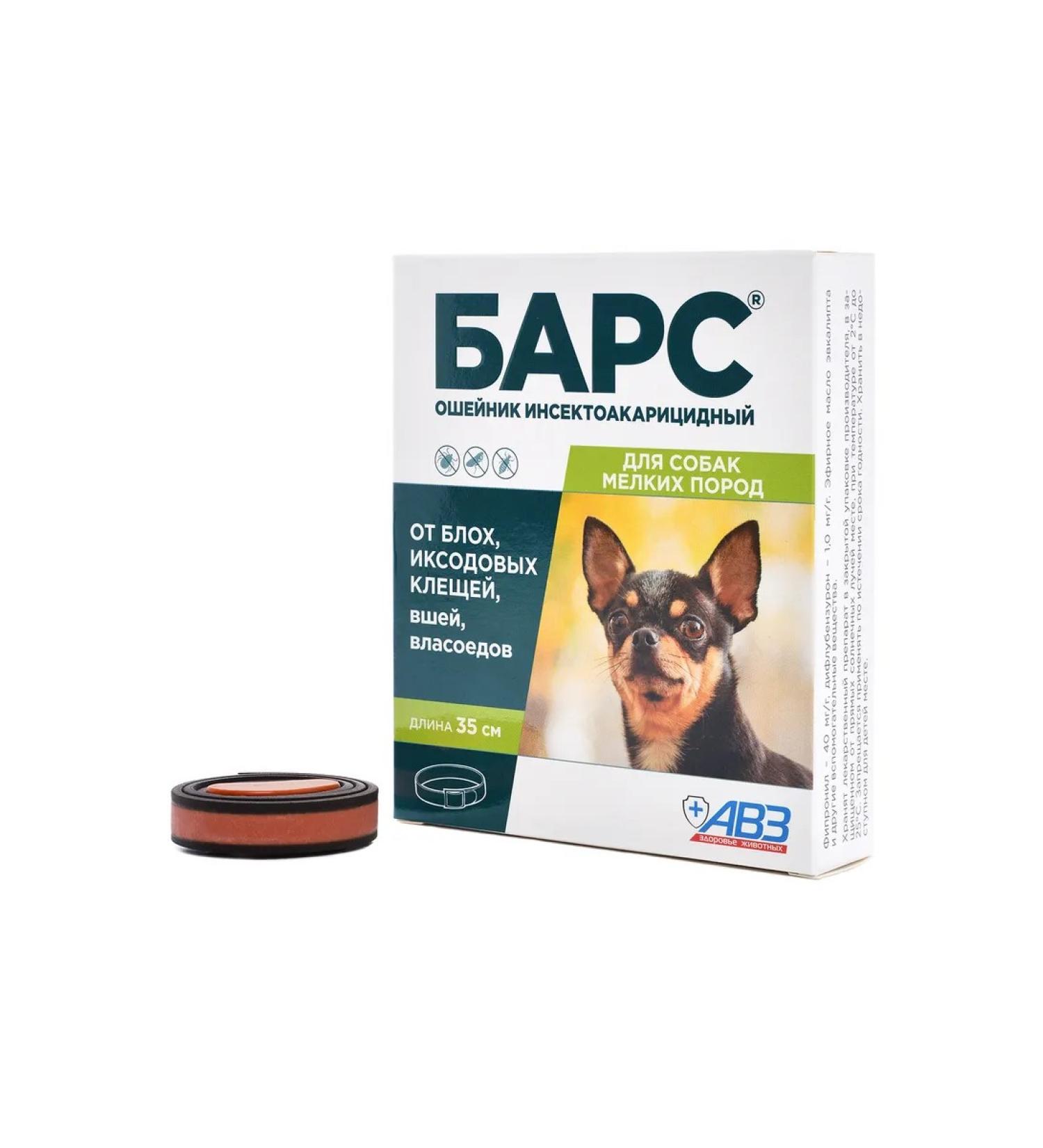 AVZ Bars collar for dogs of small breeds 35 cm