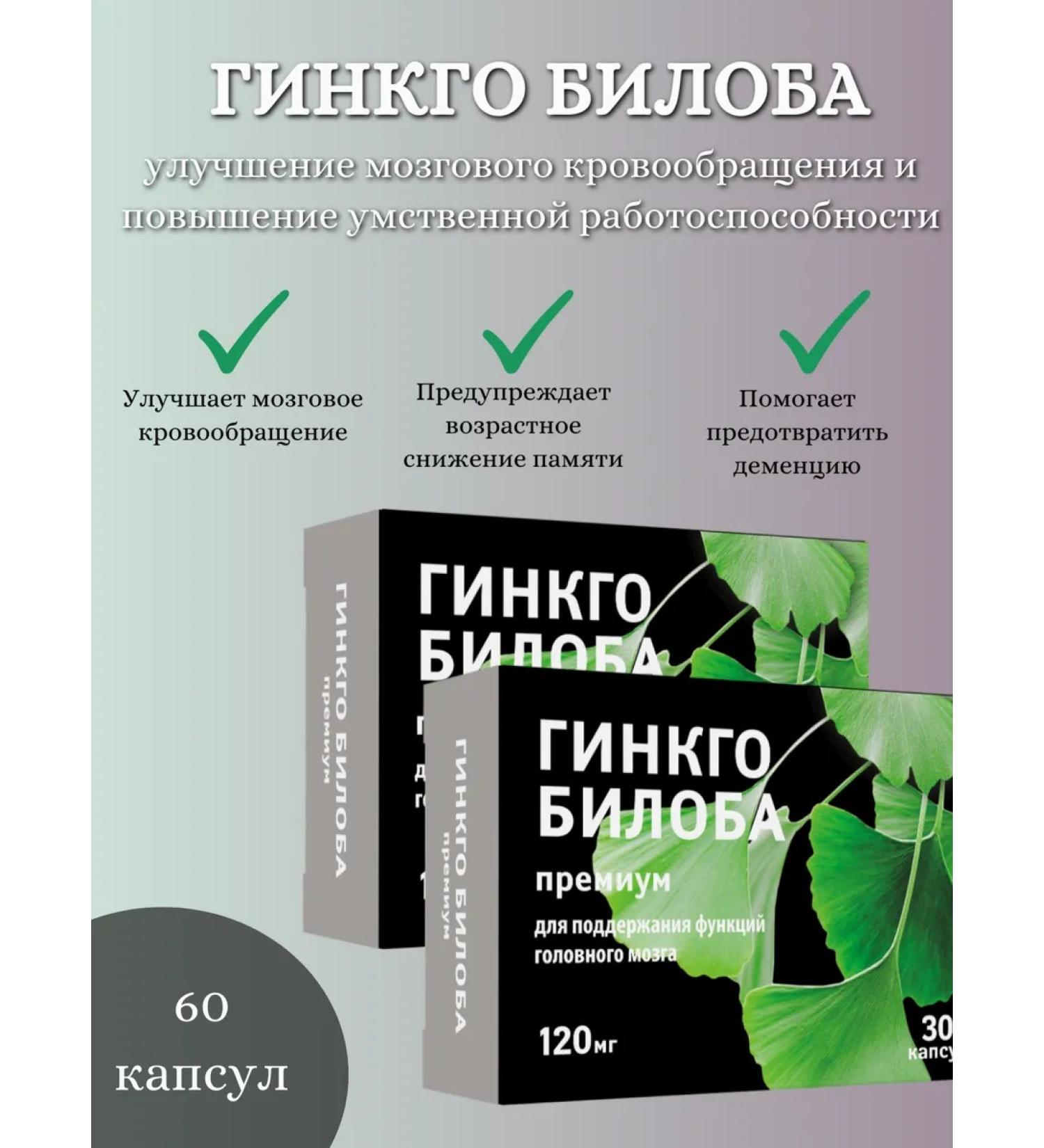 Erzig Ginkgo biloba premium 120 mg