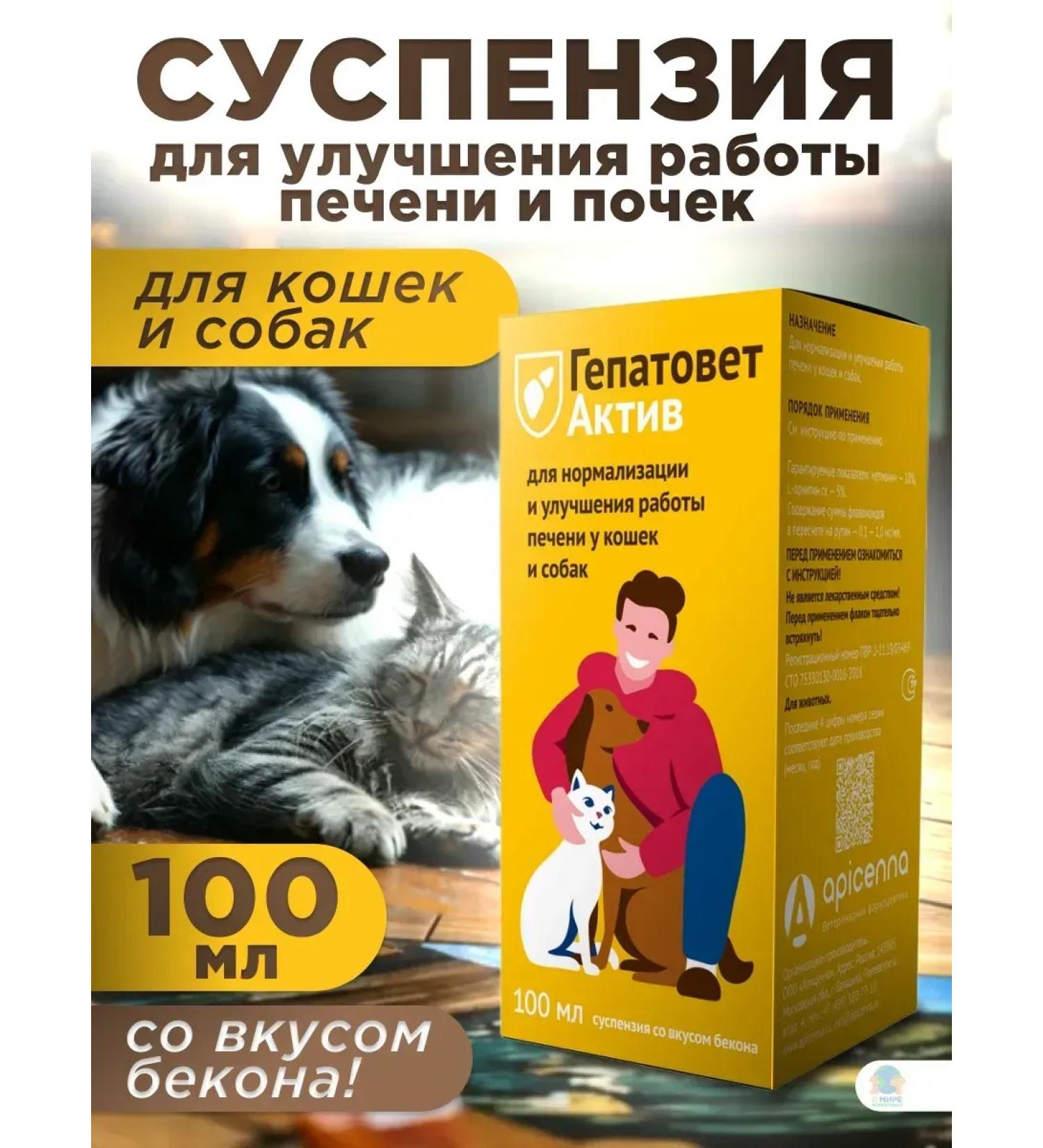 Apicenna Hepatovet asset for liver of cats and dogs 100 ml - Buy Online on GoSupps.com