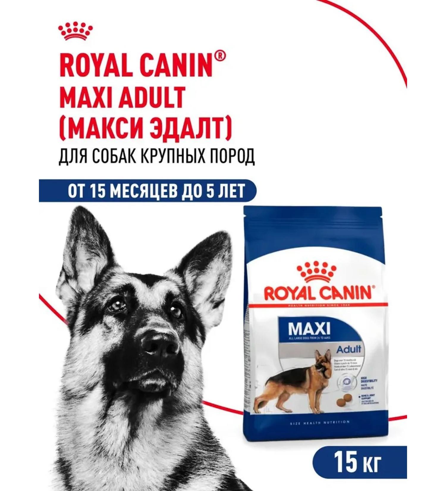 Dry feed for dogs Royal Canin of large rocks - Buy Online on GoSupps.com