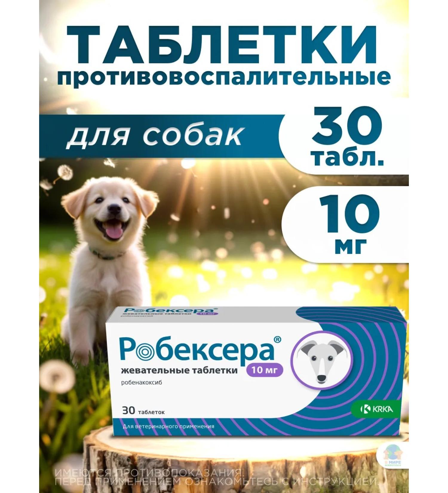 KRKA Robexer painkillers for dogs 10 mg - Buy Online on GoSupps.com