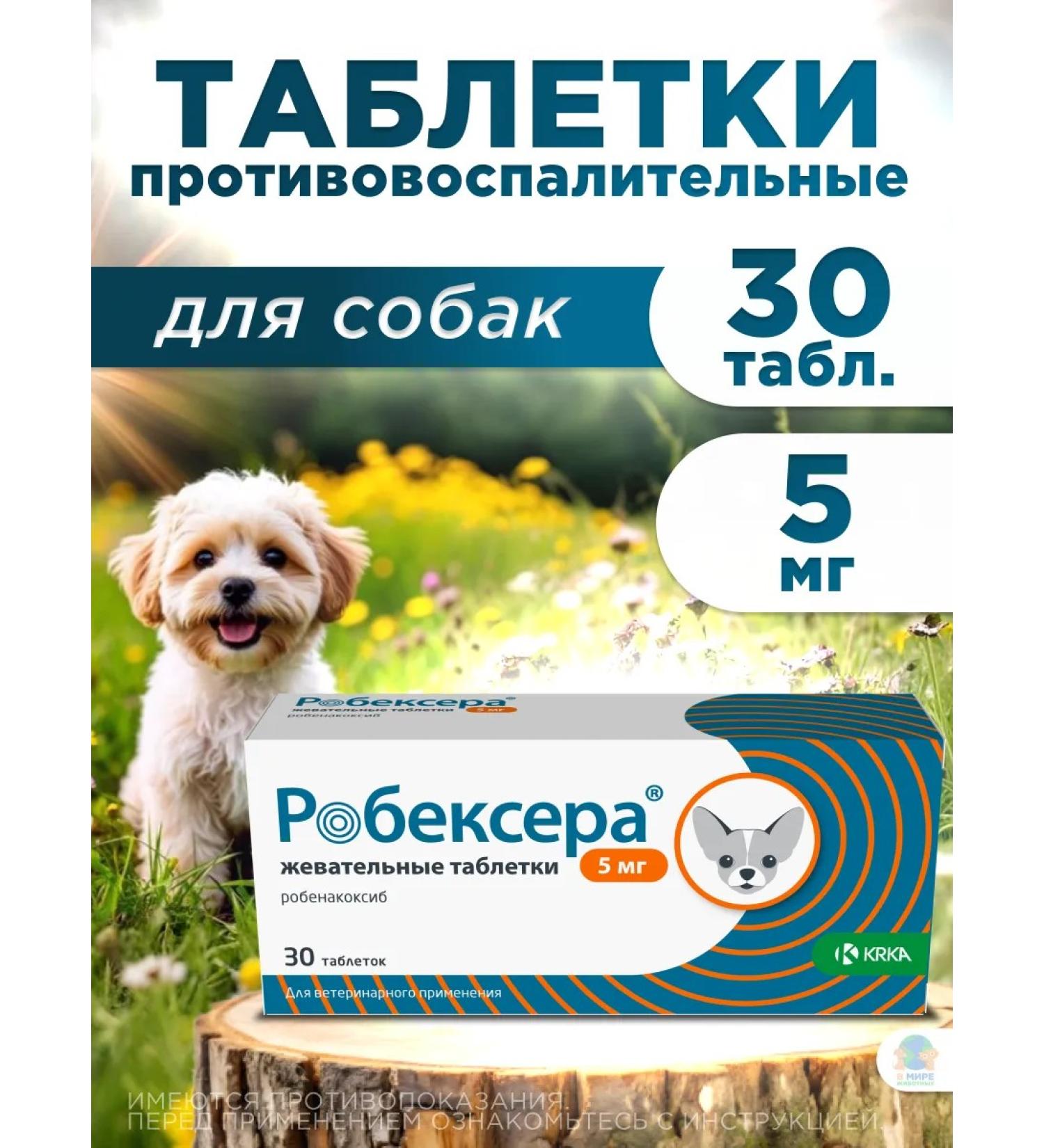 KRKA Robexer painkillers for dogs 5 mg - Buy Online on GoSupps.com