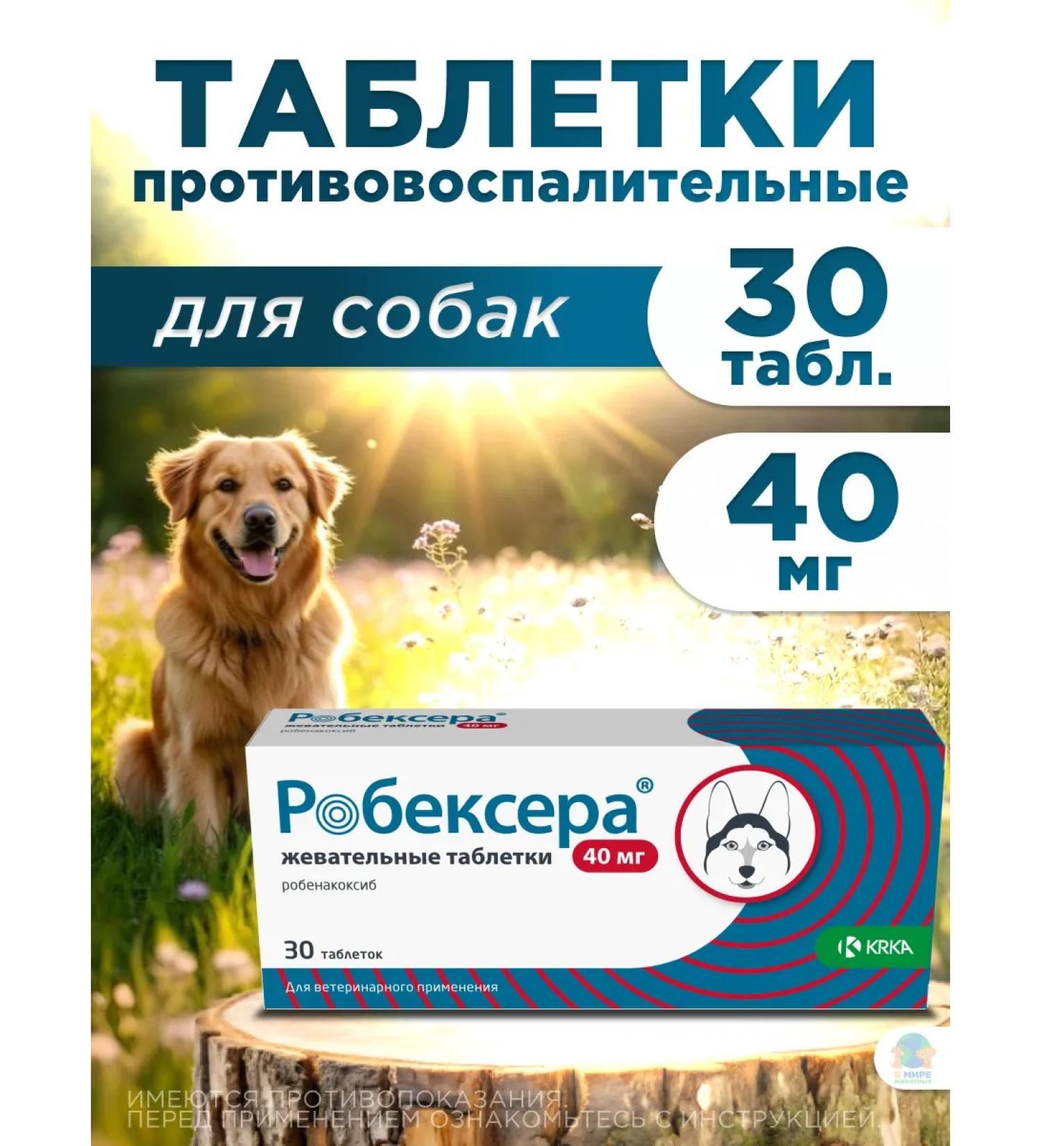 KRKA Robexer painkillers for dogs 40 mg - Buy Online on GoSupps.com
