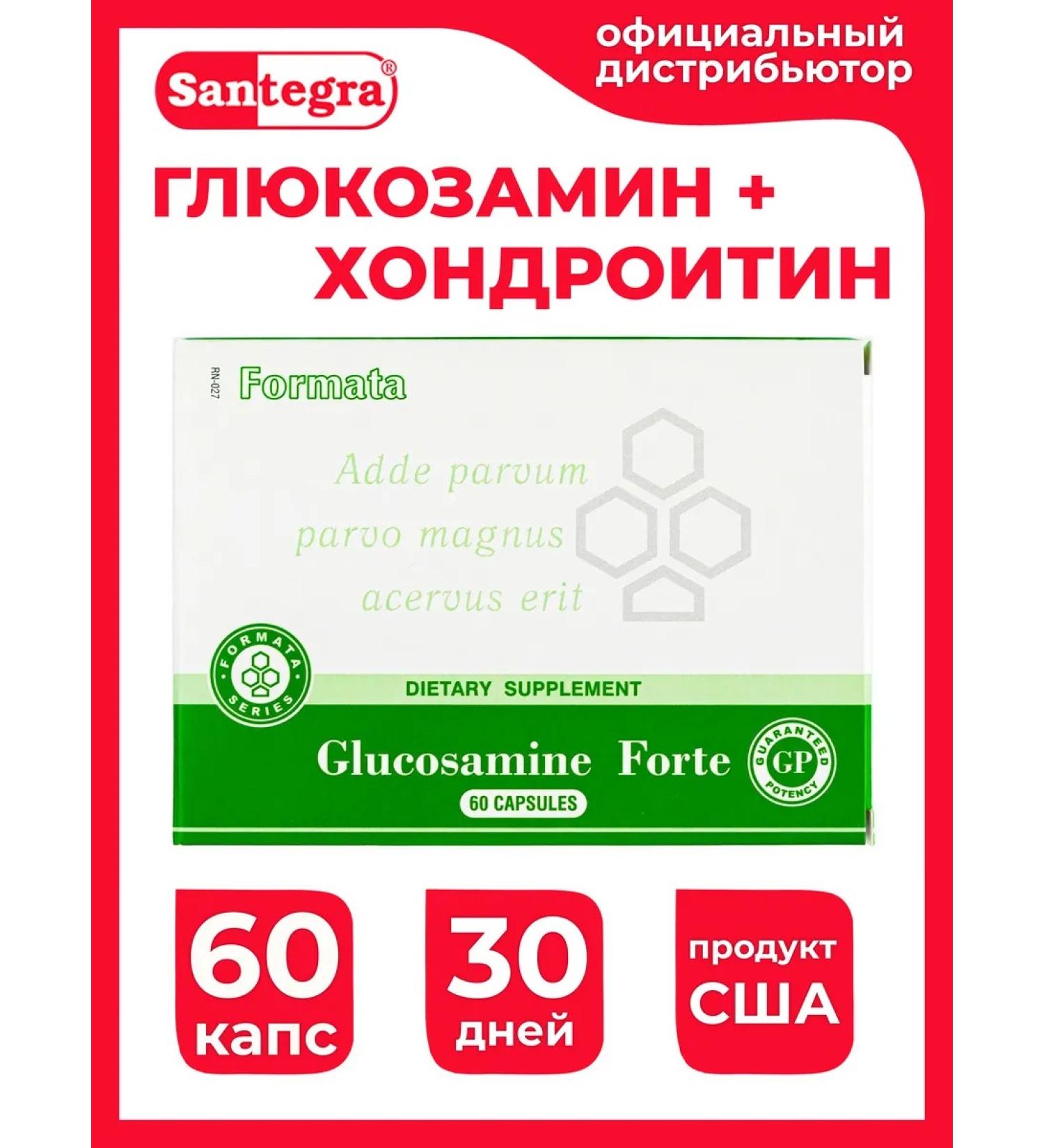 Santegra Santegra Chondroprotector Glucosamine Forte - Buy Online on GoSupps.com