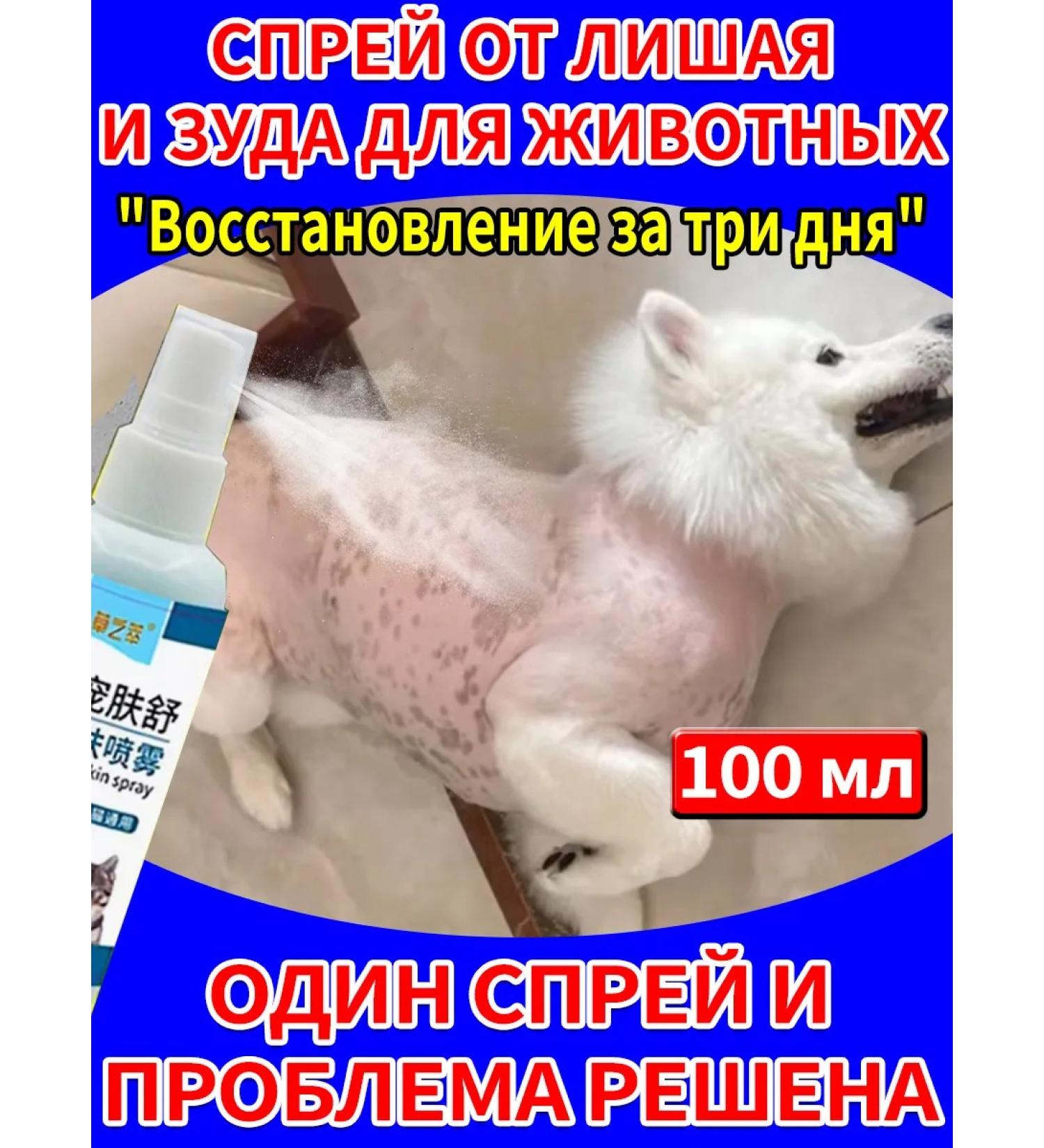 Skin diseases in dogs spray for cats and dogs 500 ml - Buy Online on GoSupps.com
