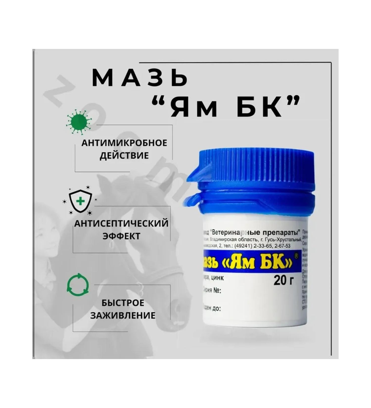 AVZ Yam BC ointment 20 g - 1 pcs - Buy Online on GoSupps.com