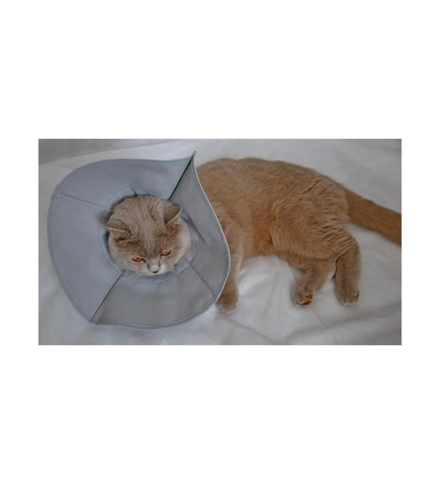 Cat expert Protective collar with a lace for cats and dogs