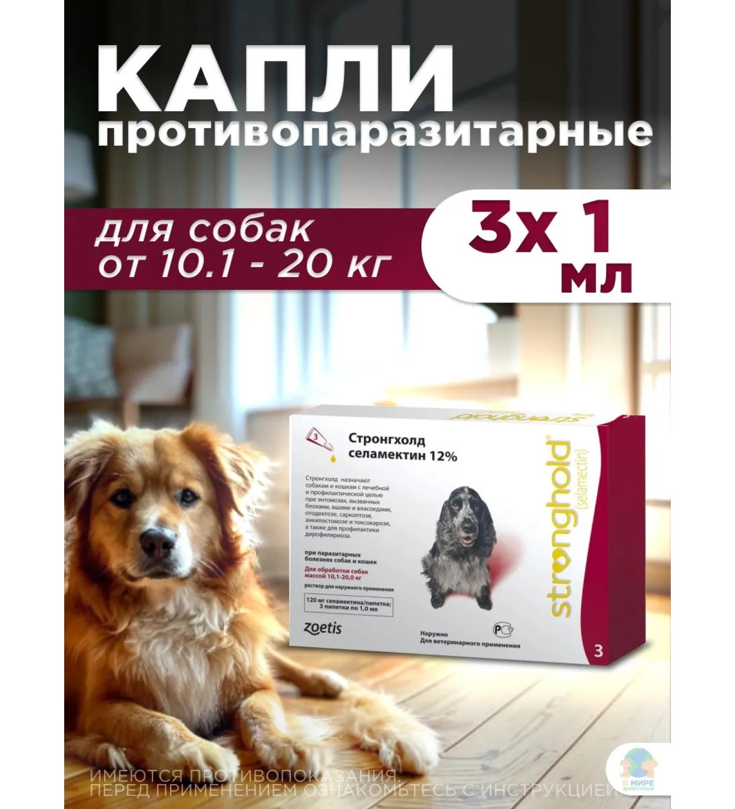 Zoetis Drops Stronghold 12% for dogs 10-20 kg - Buy Online on GoSupps.com