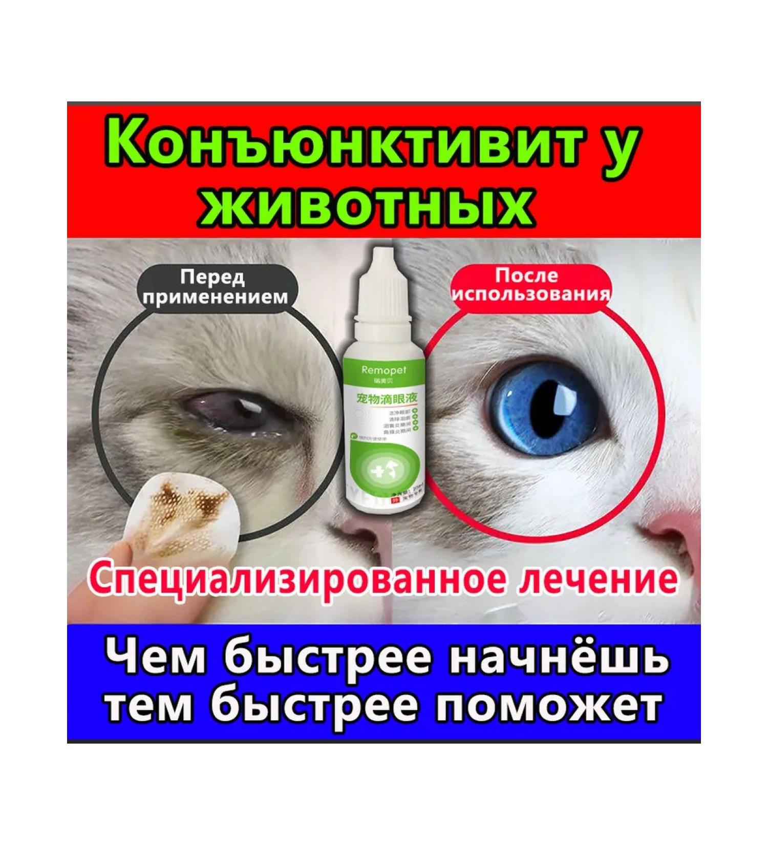 Eye drops for cats and dogs with conjunctivitis 60 ml - Buy Online on GoSupps.com
