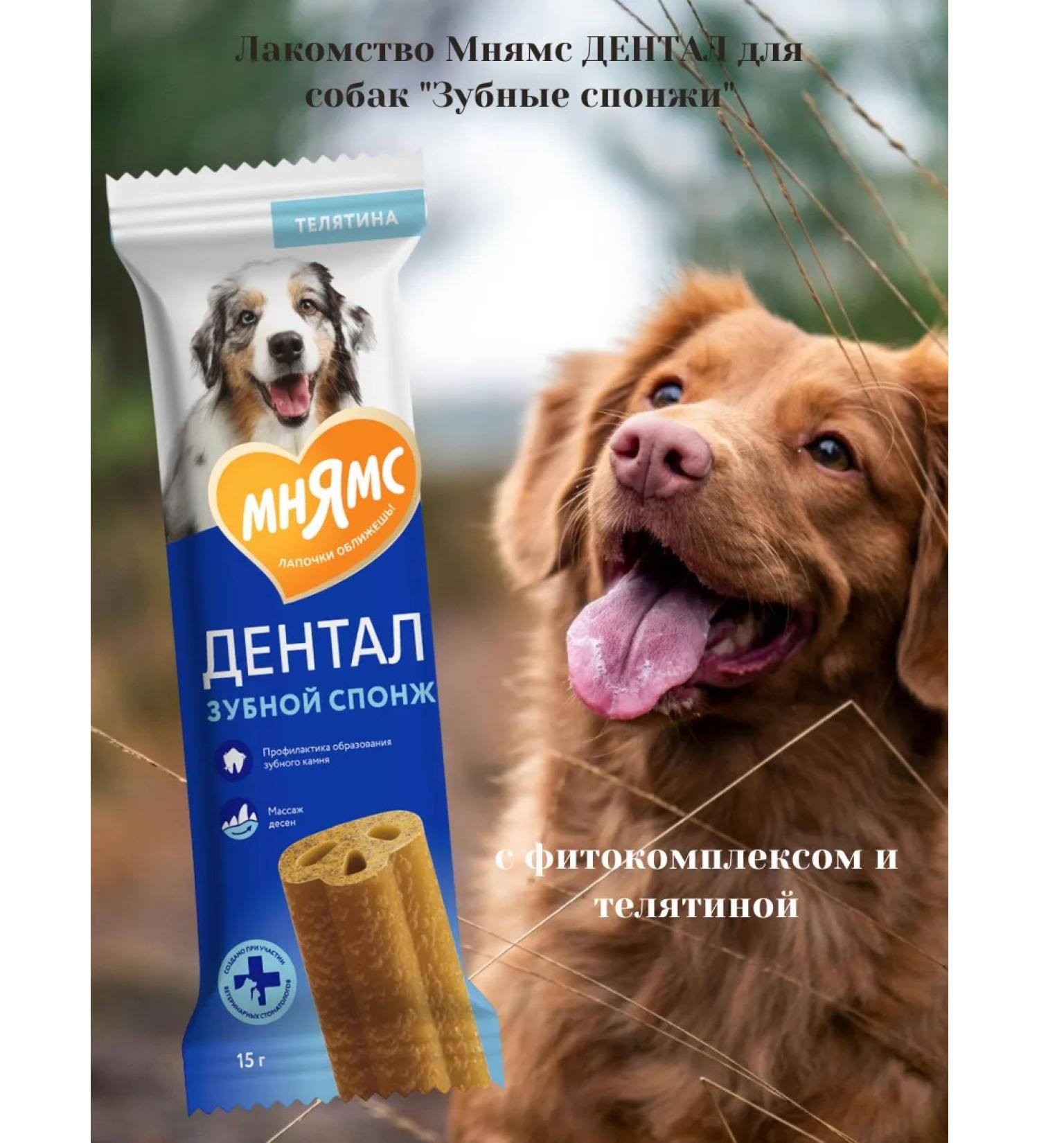 Mnyams Dogs "Dental Sponge" 15g - Buy Online on GoSupps.com