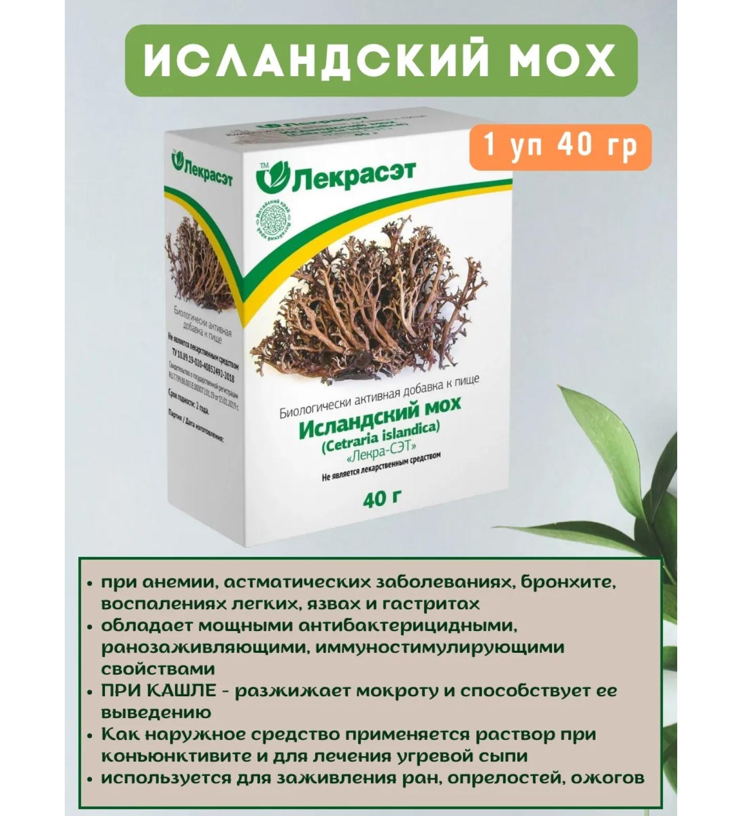 LekraSet Icelandic moss grass 1 unity 40g - Buy Online on GoSupps.com