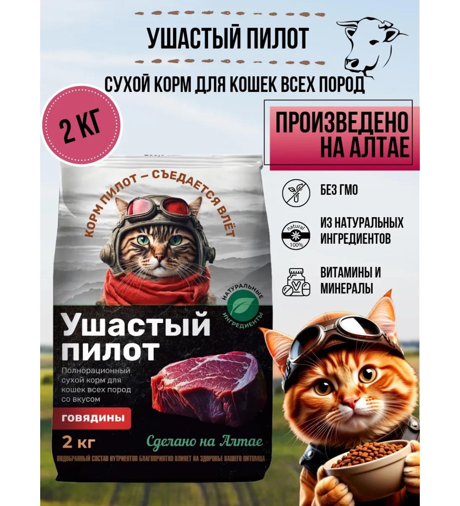 Long-Eared Pilot Cat food dry with beef 2 kg - Buy Online on GoSupps.com