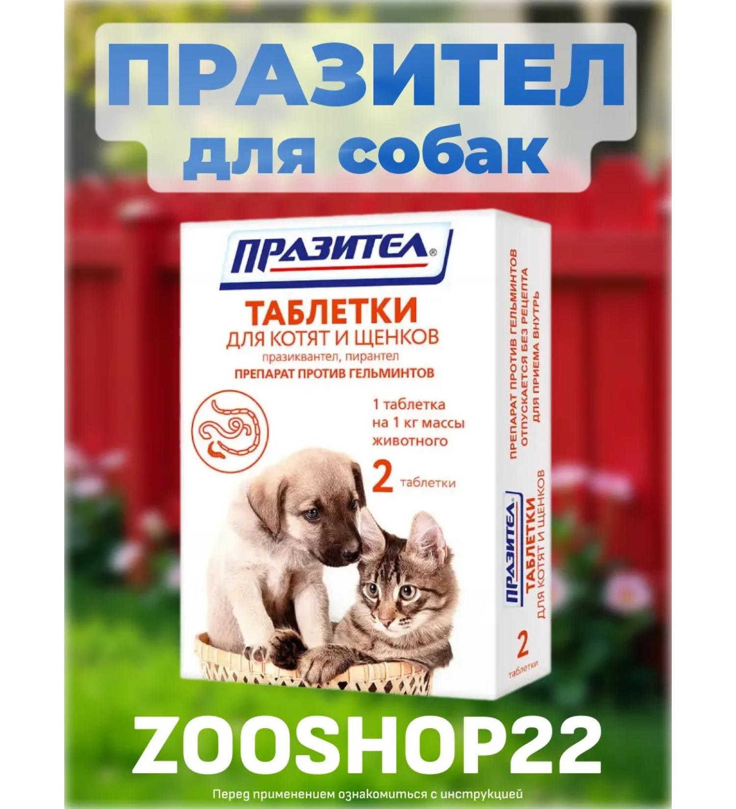 Astrapharm Prasitar tablets from worms for kittens and puppies 2 tab - Buy Online on GoSupps.com