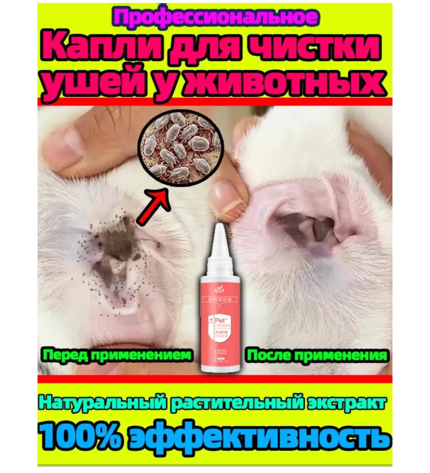Lotion for the ears of cats and dogs 60ml - Buy Online on GoSupps.com