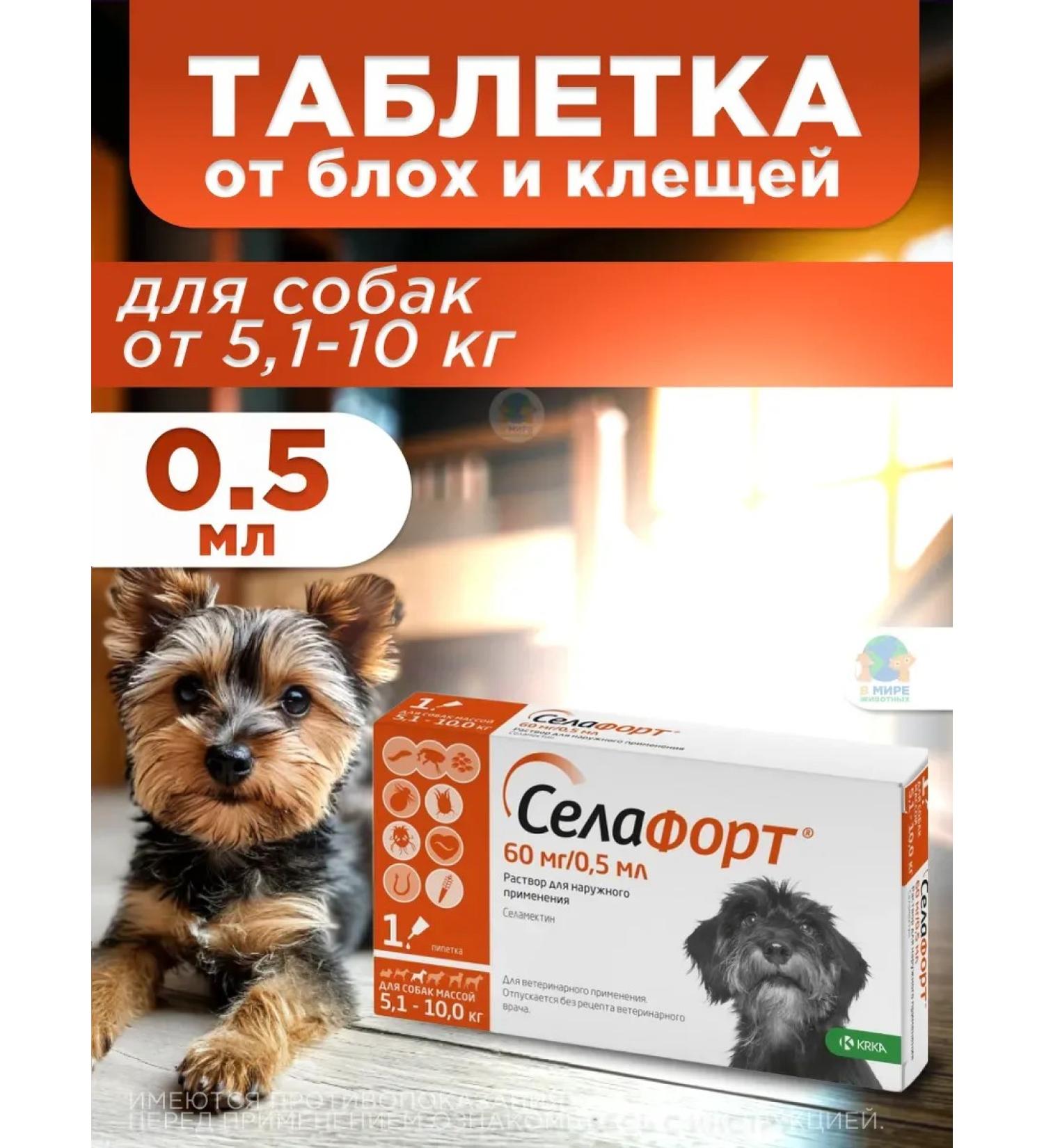 KRKA Sealess for dogs weighing from 5.1 to 10 kg - Buy Online on GoSupps.com