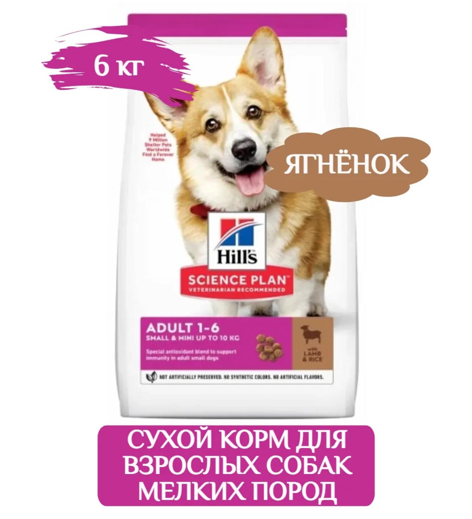 HILL'S Mini adult dry dog food 6 kg - Buy Online on GoSupps.com