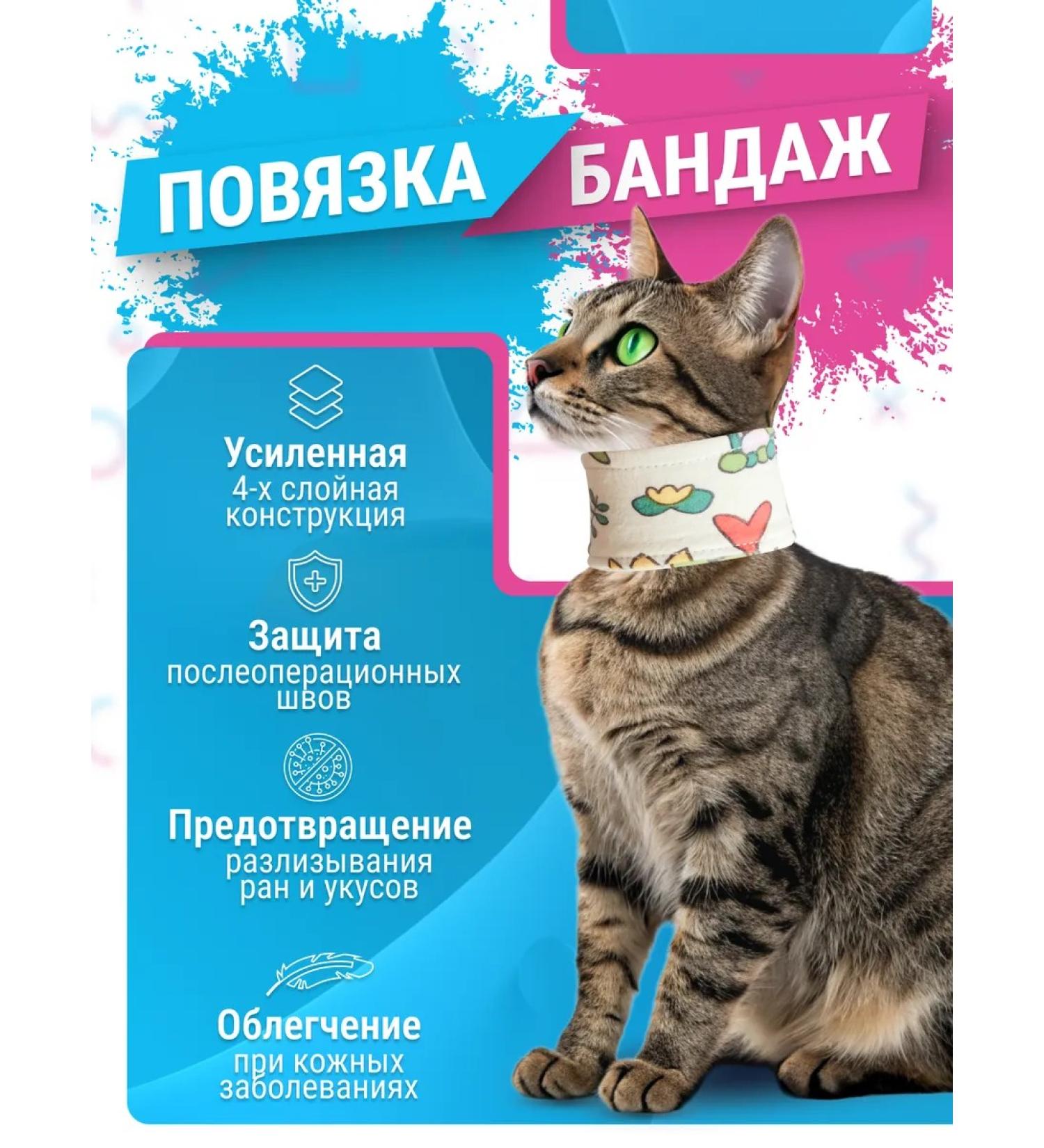 Bandage collar on the neck for cats is soft - Buy Online on GoSupps.com